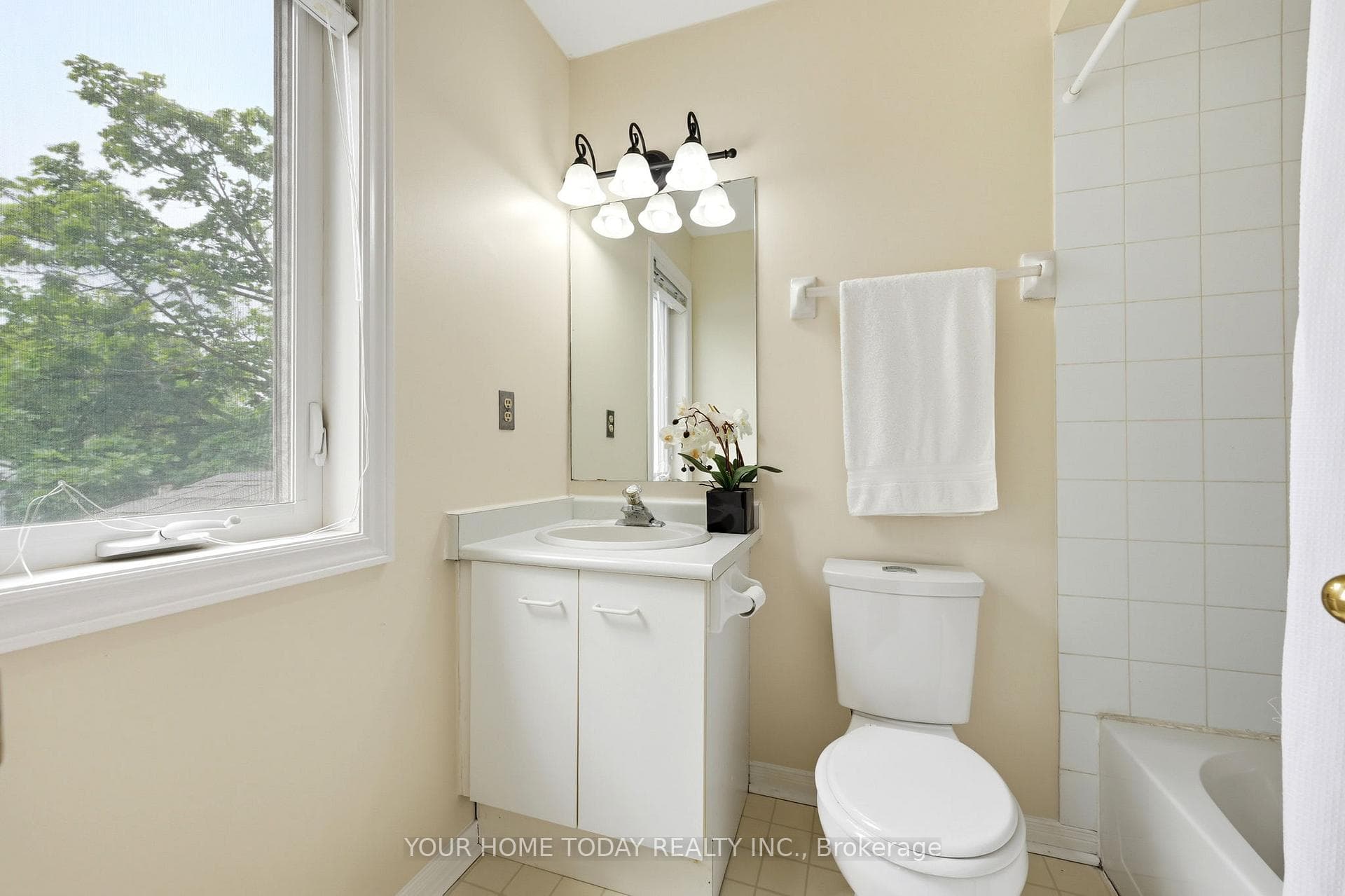 29 Corey Circle photo 23