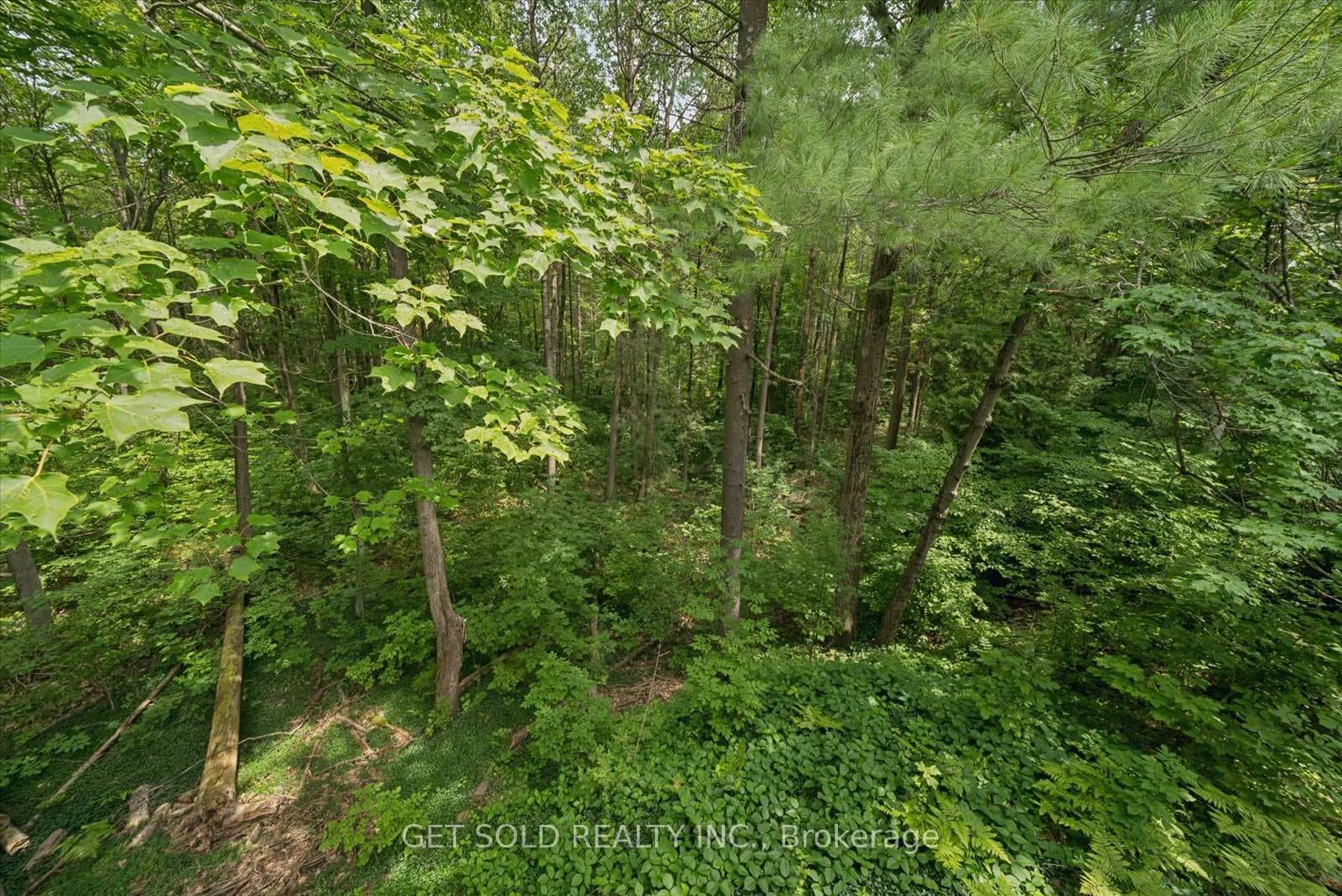 80 White Pine Trail photo 15