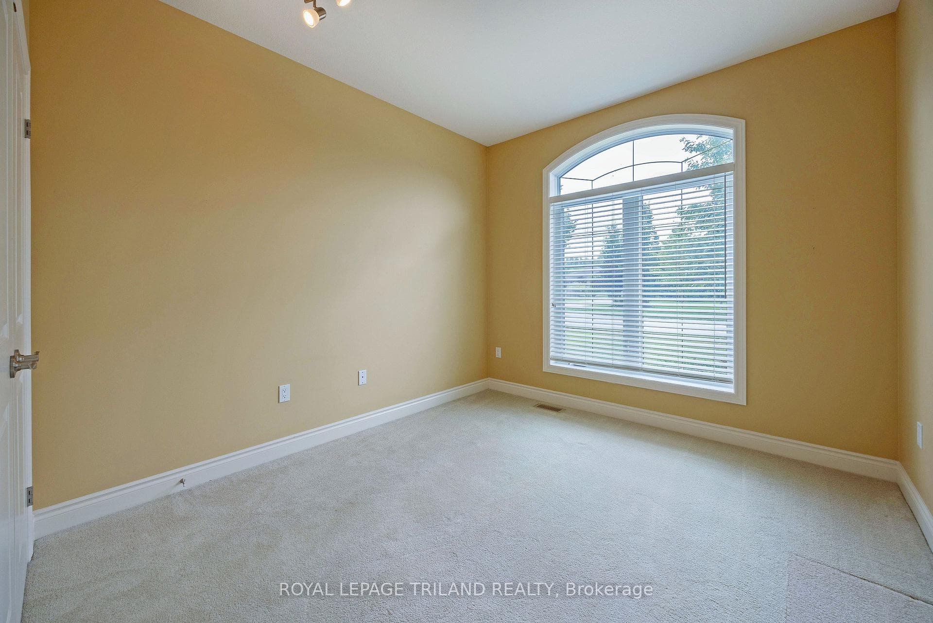 38 Riness Drive photo 19