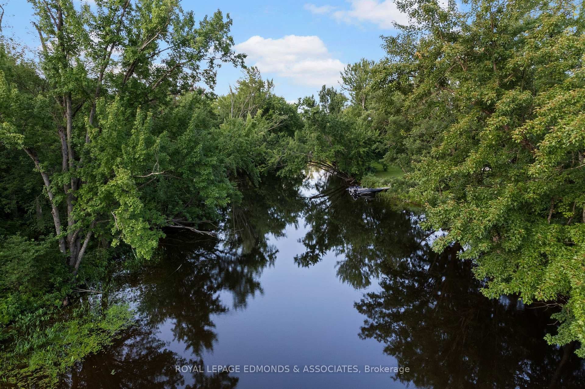 107 Purple Finch Trail photo 5