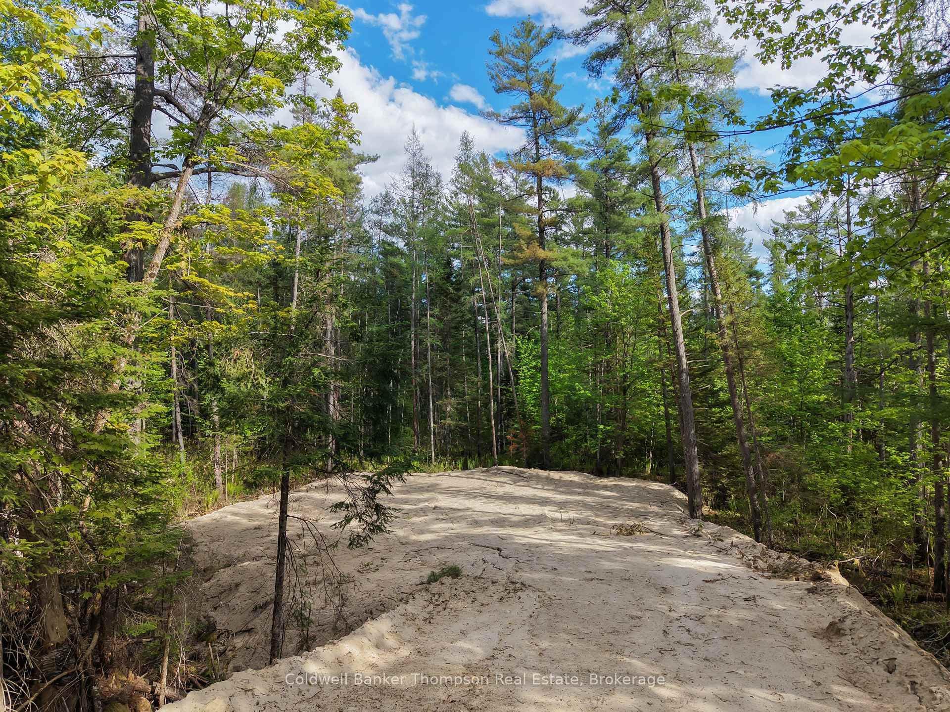 PART 6 AXE LAKE Road photo 7