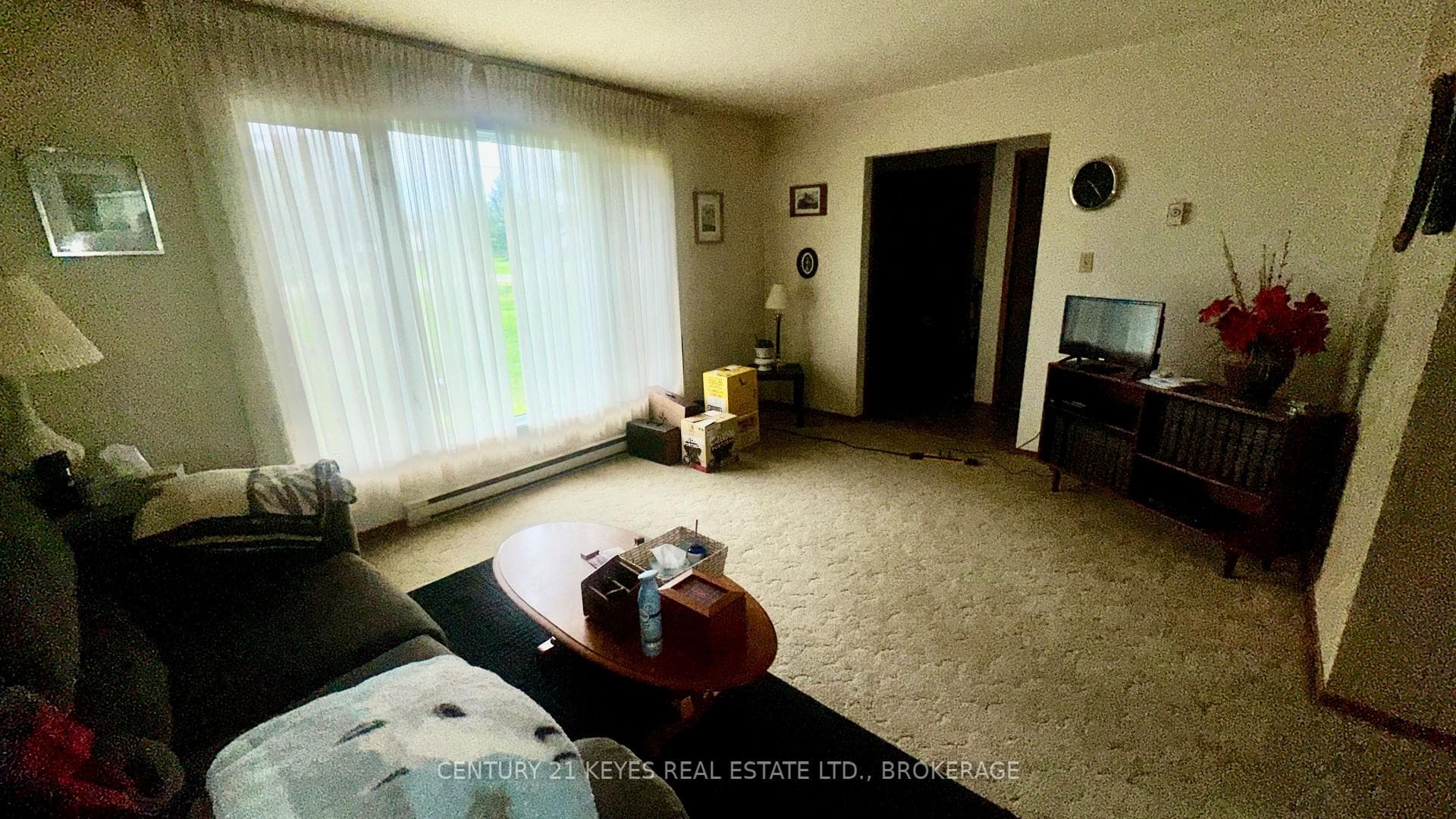 85 Haig Road photo 14