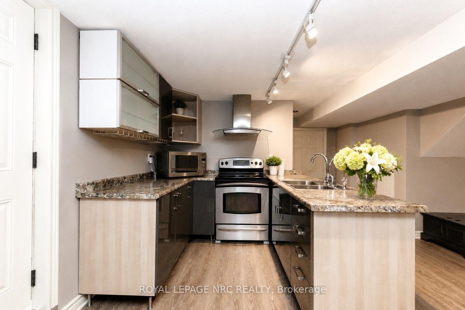Lower Level full kitchen