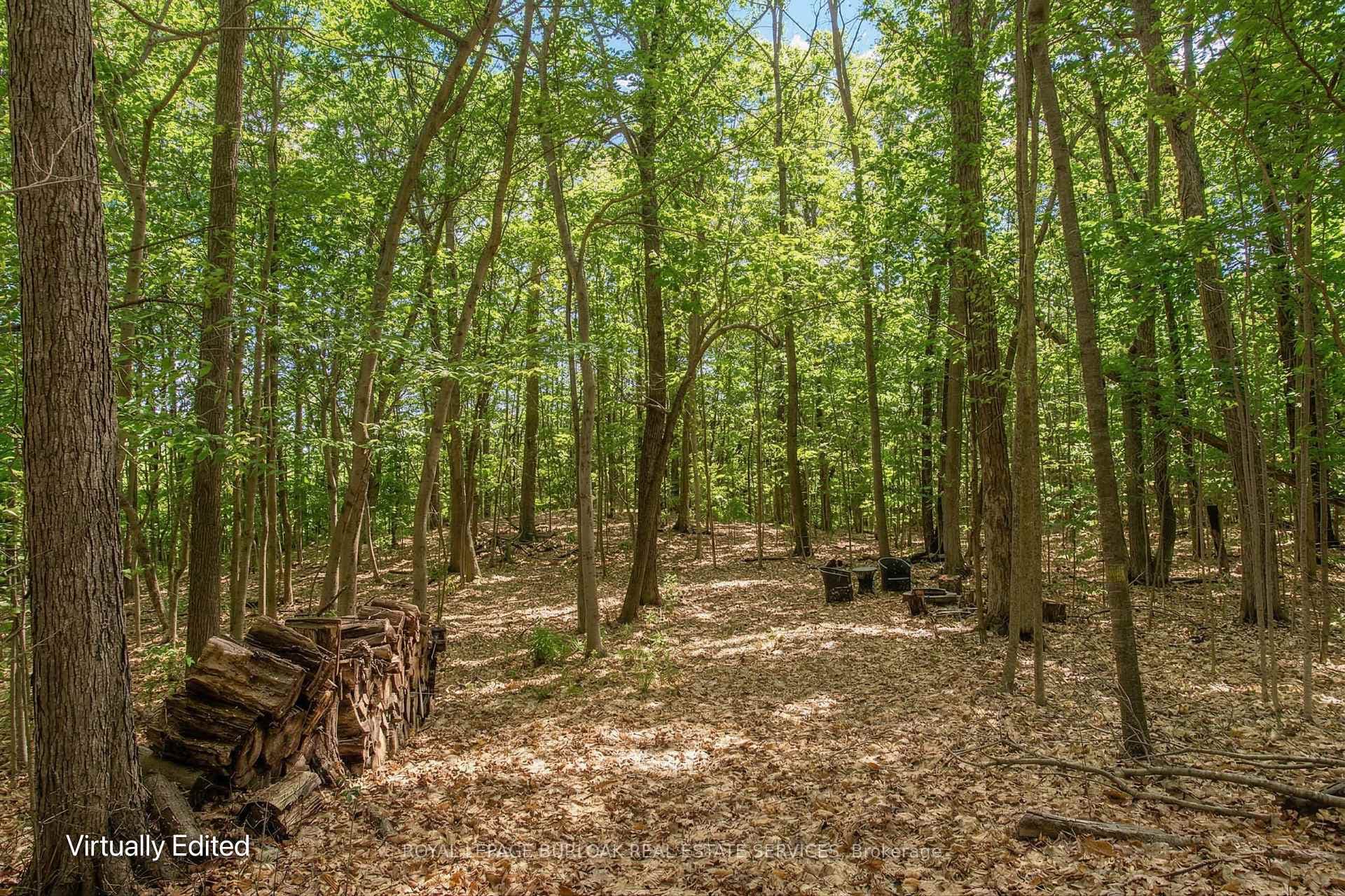4375 Hall Road photo 6