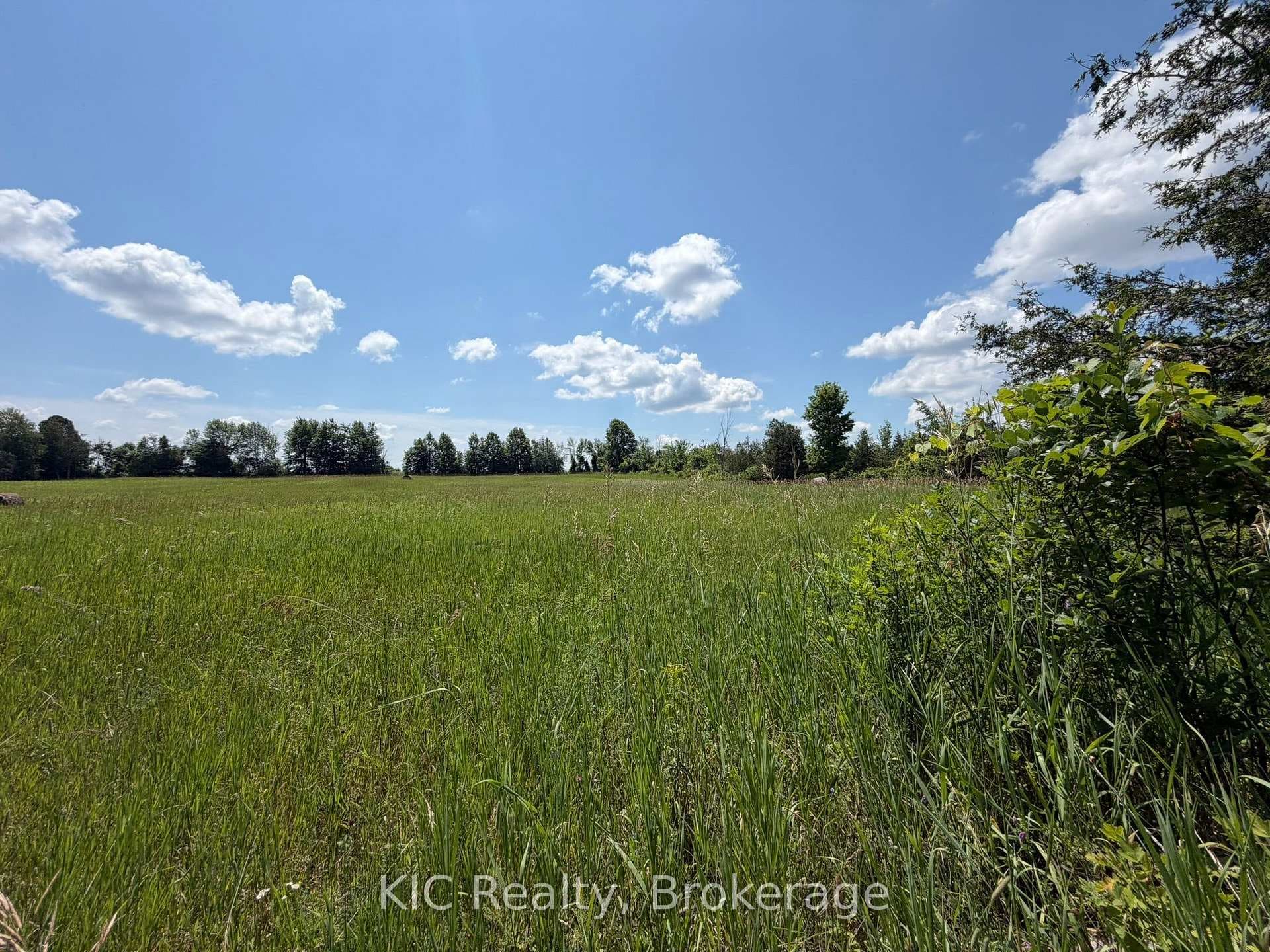 221 Jones Road photo 16