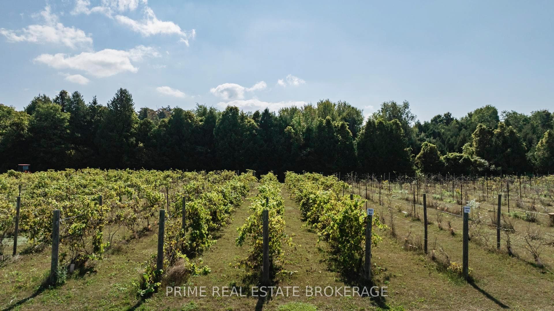 64 Deer Ridge Lane photo 6