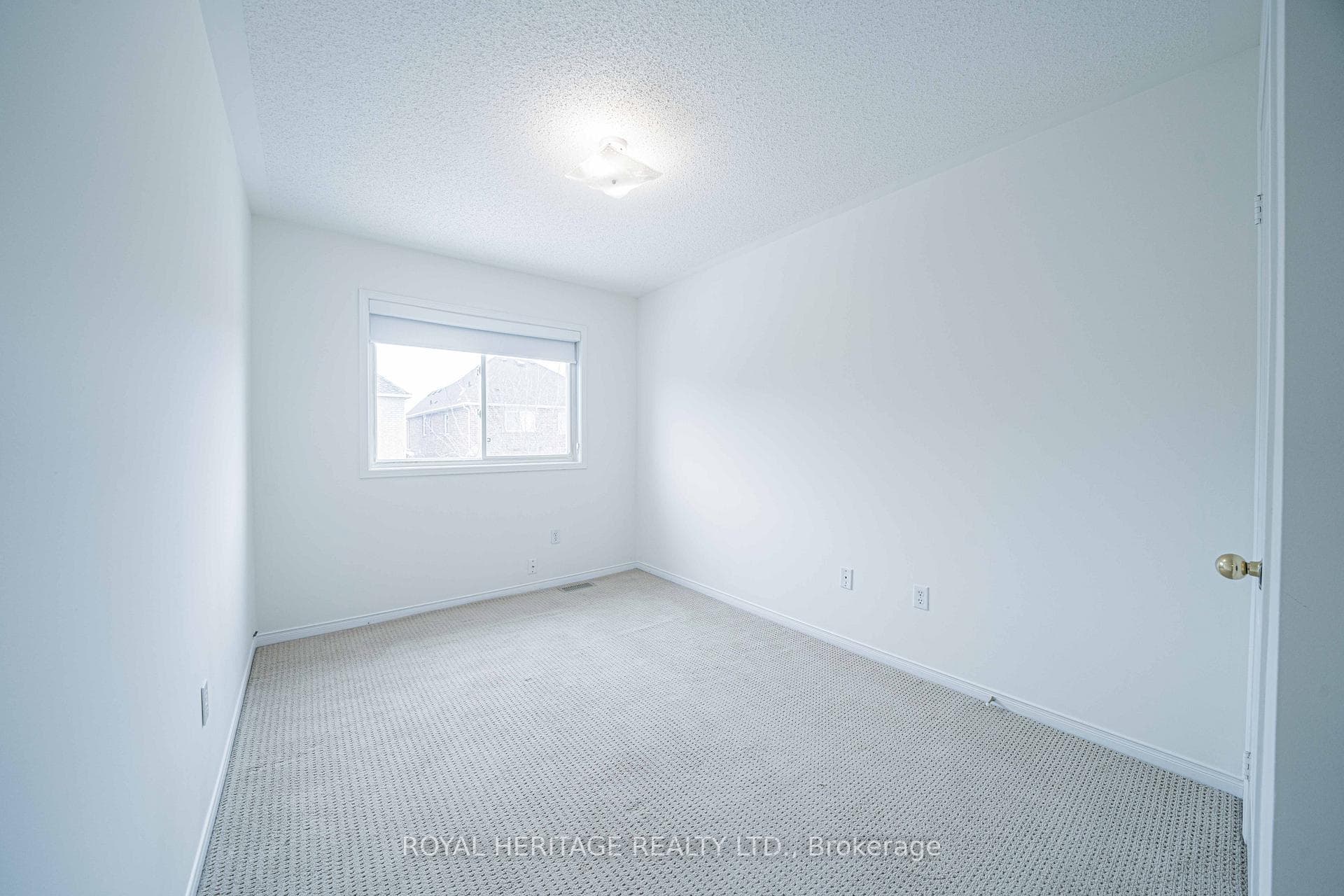 344 Castlemore Avenue photo 32