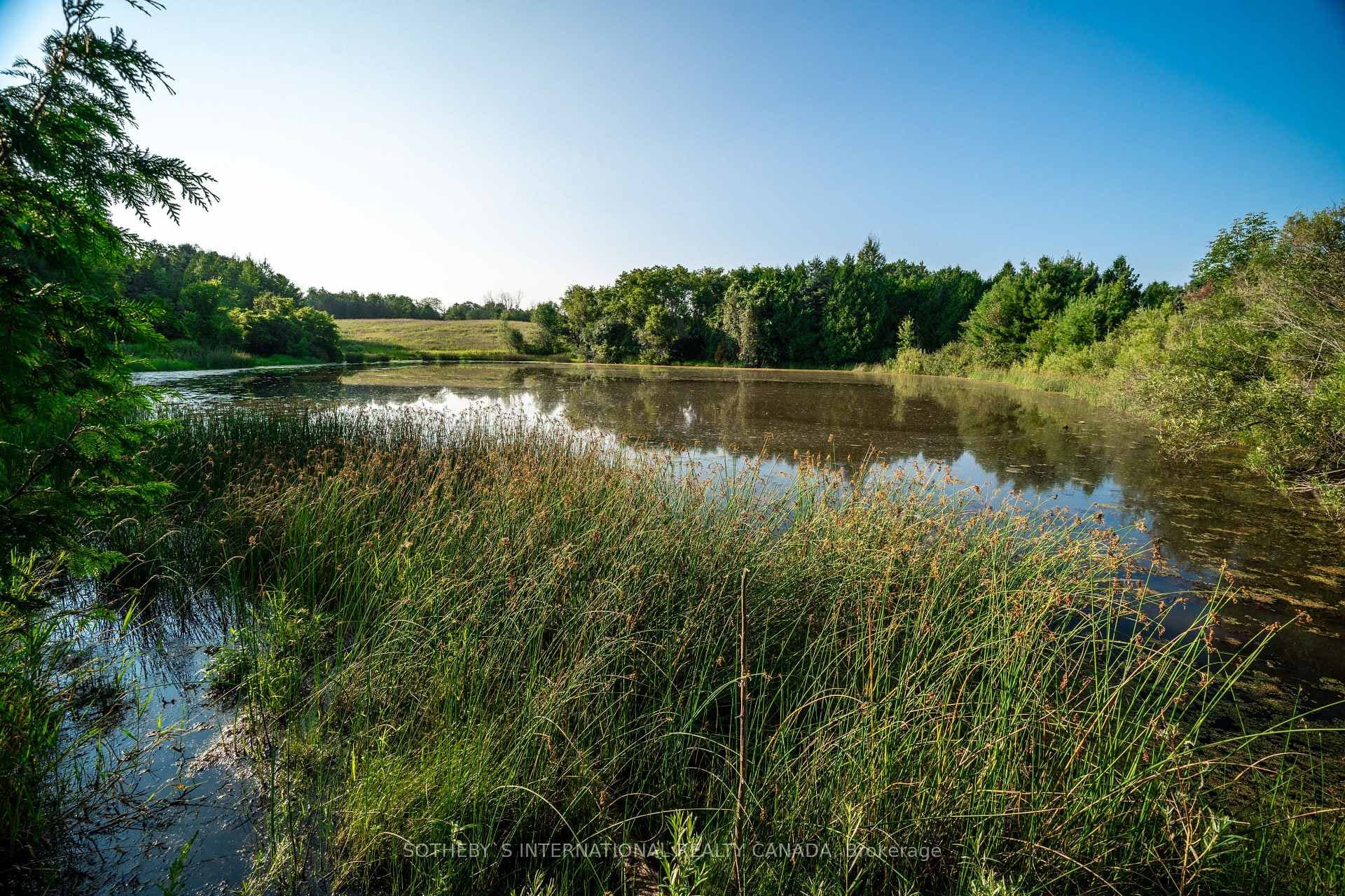 15664 Duffy's Lane photo 3
