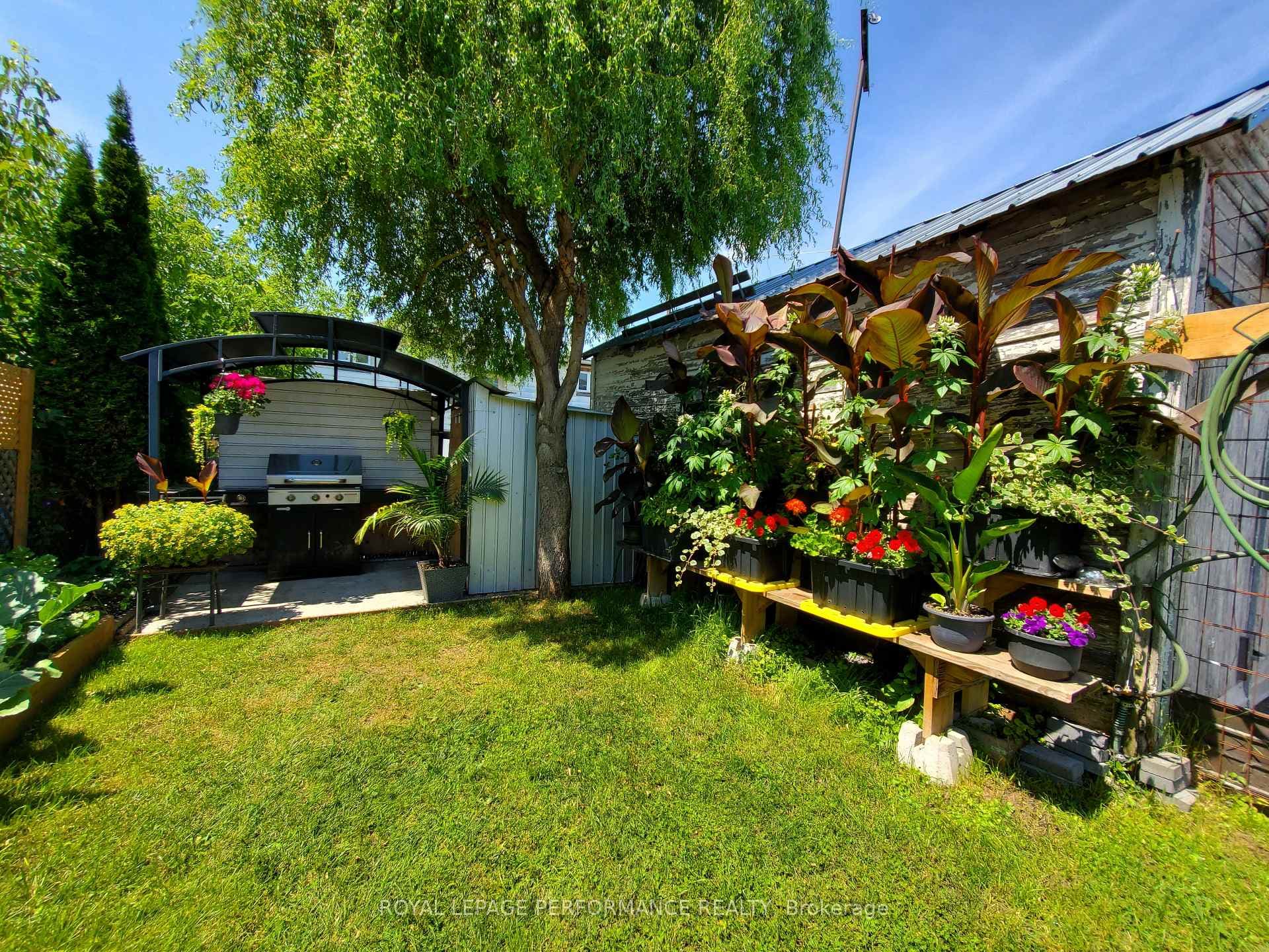 339 Louisa Street photo 20