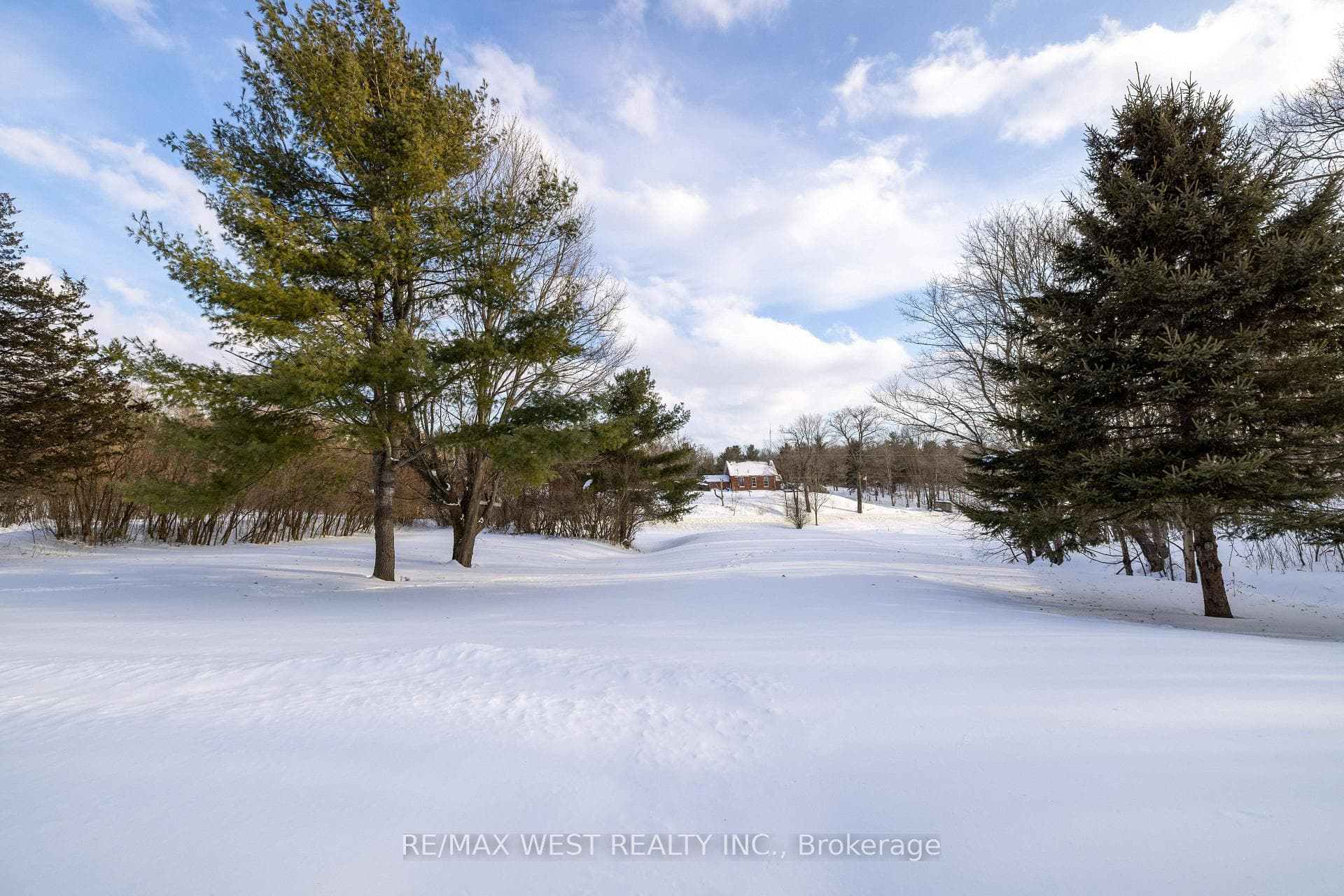 6695 Bradden Lane photo 48