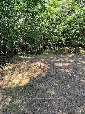 2875 County Road 21 Road photo 9