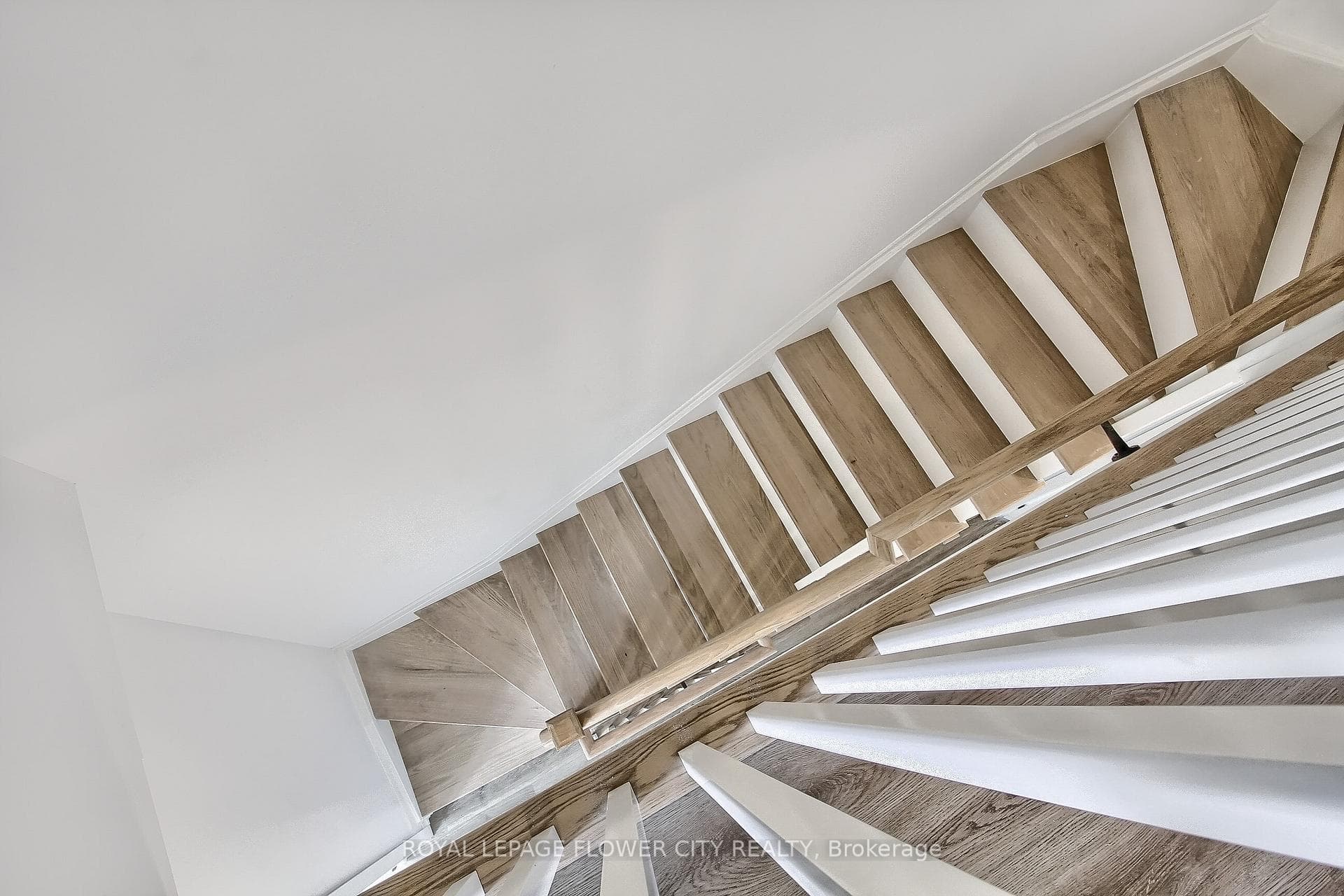 98 Bartley Drive photo 30
