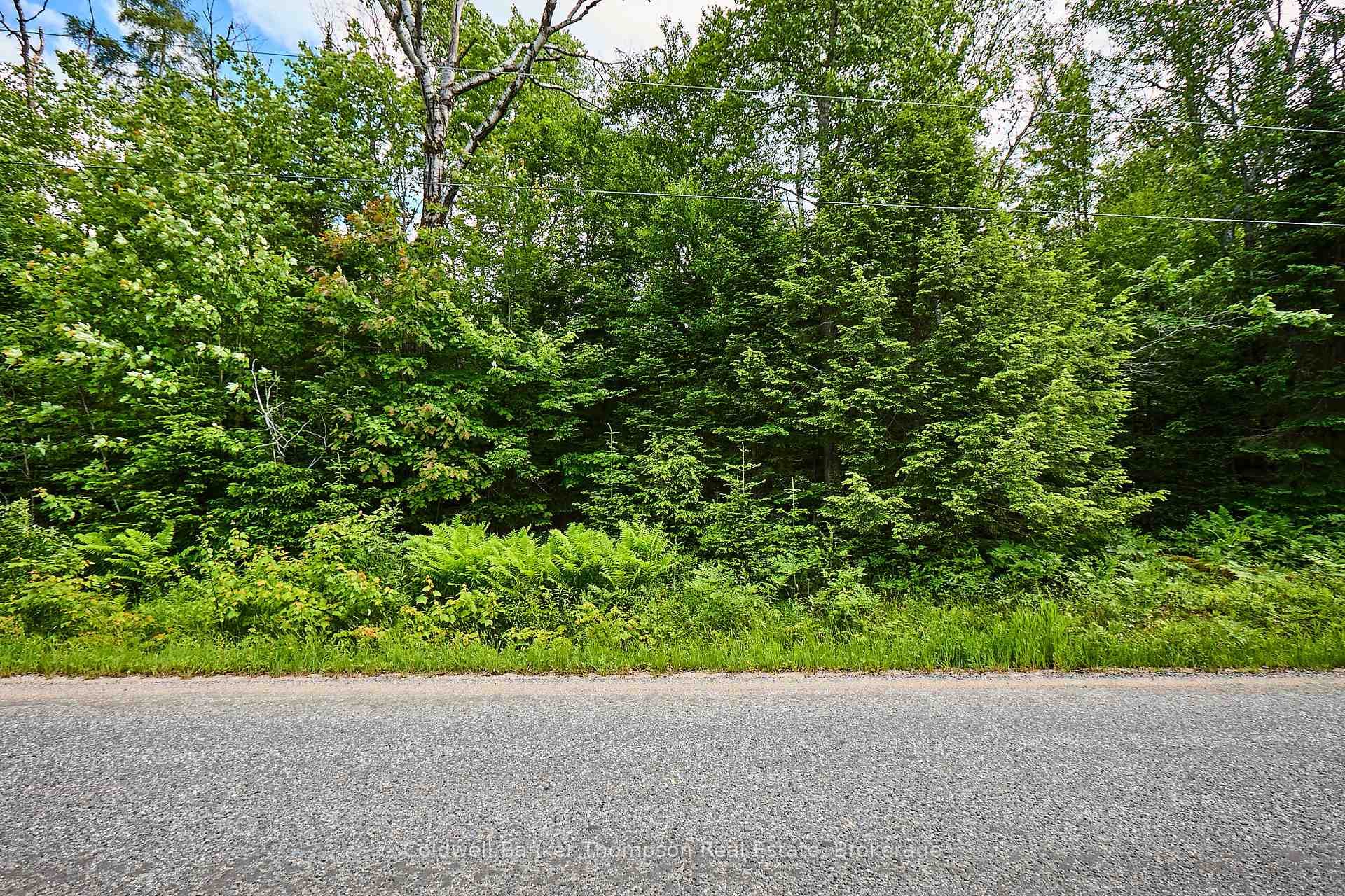 343 Rowanwood Road photo 13