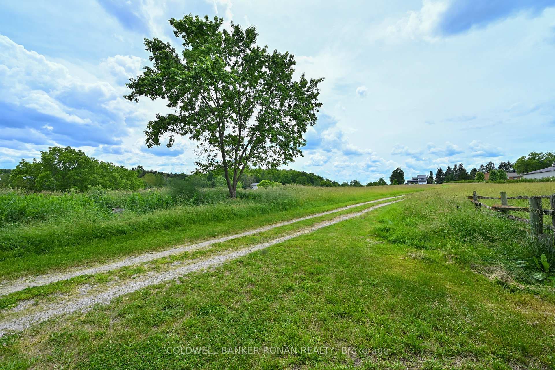 6497 3rd Line photo 16