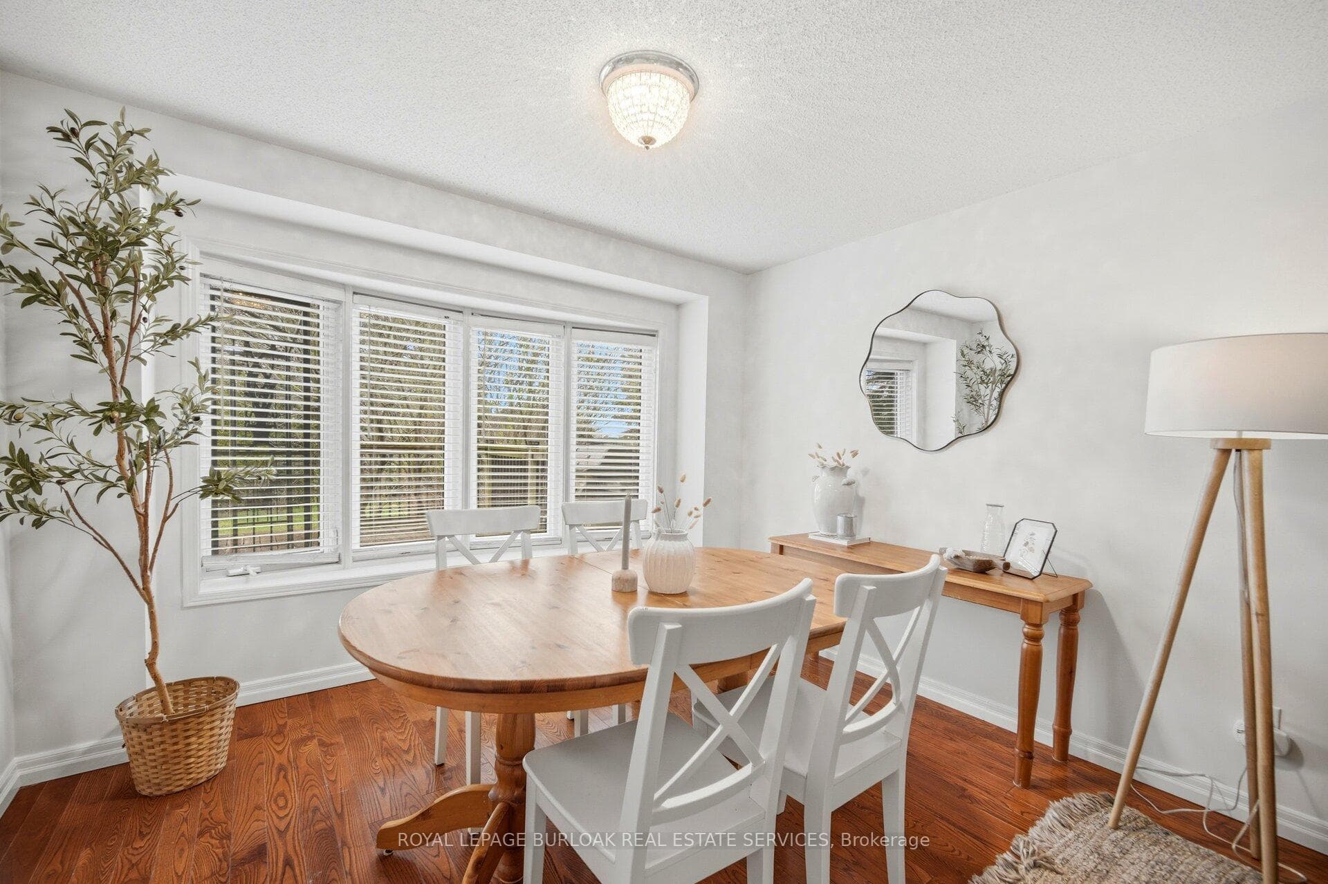 232 Auburn Drive photo 11