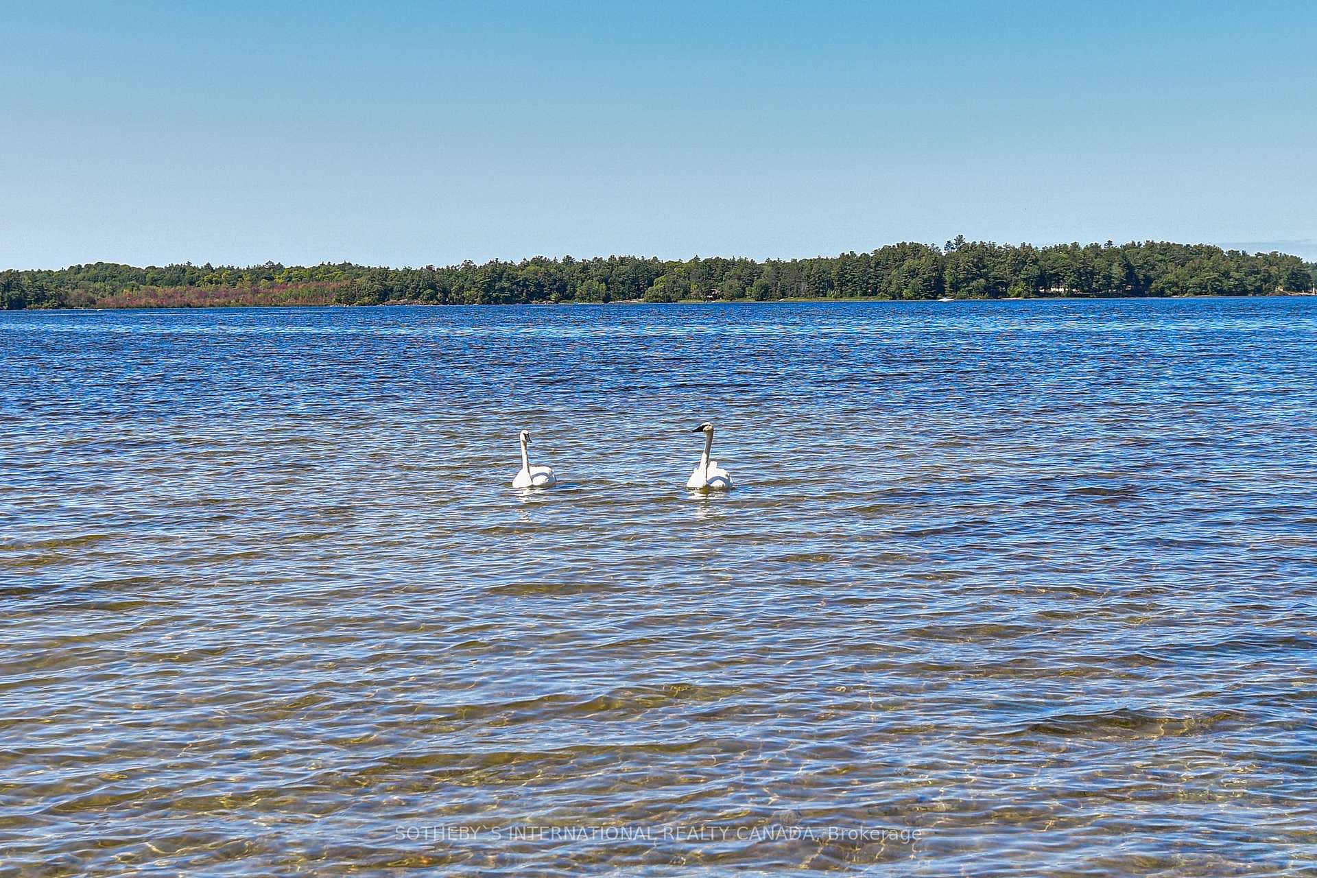 1063 Shallow Bay Road photo 39