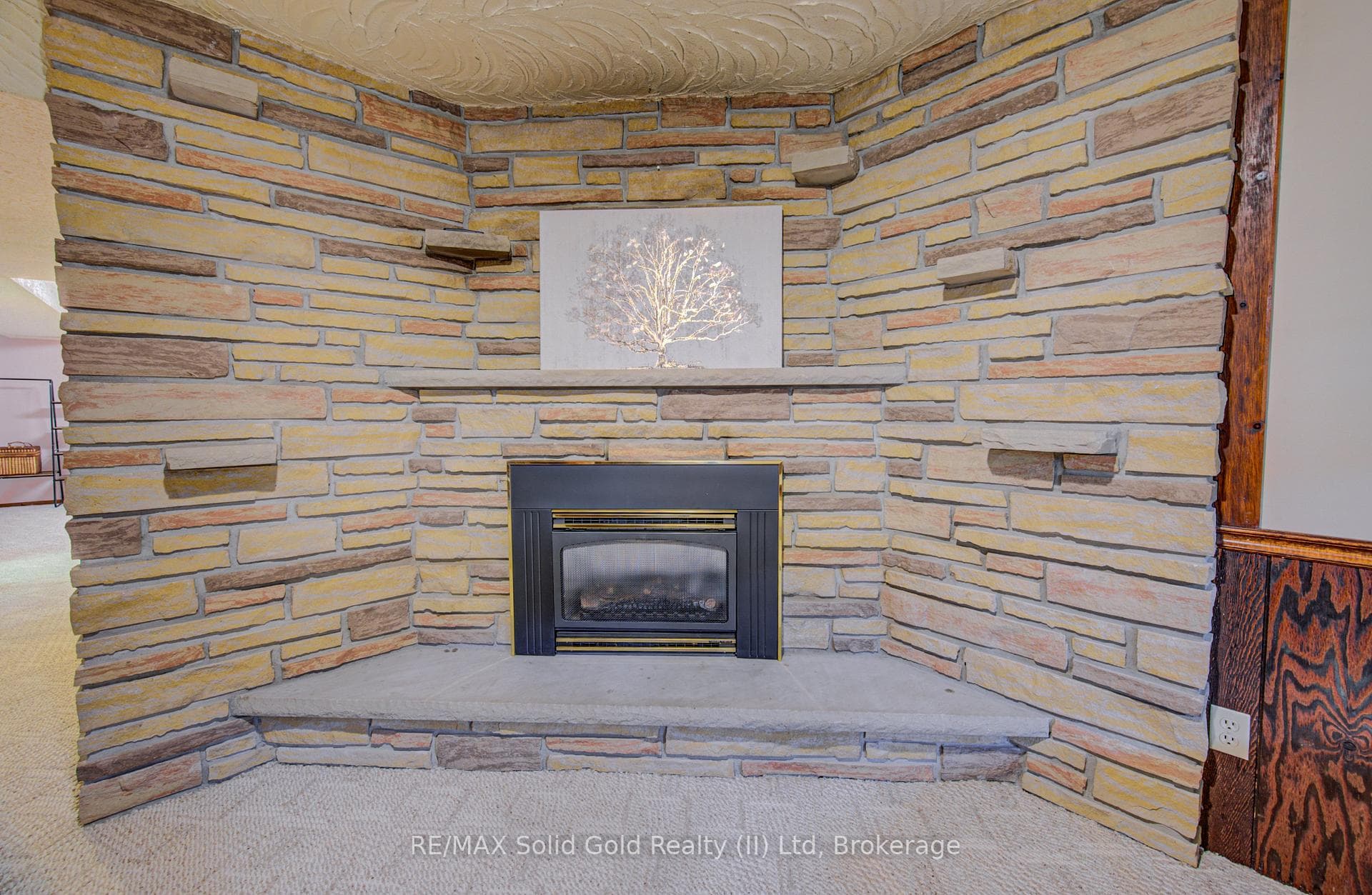119 Martinglen Crescent photo 34