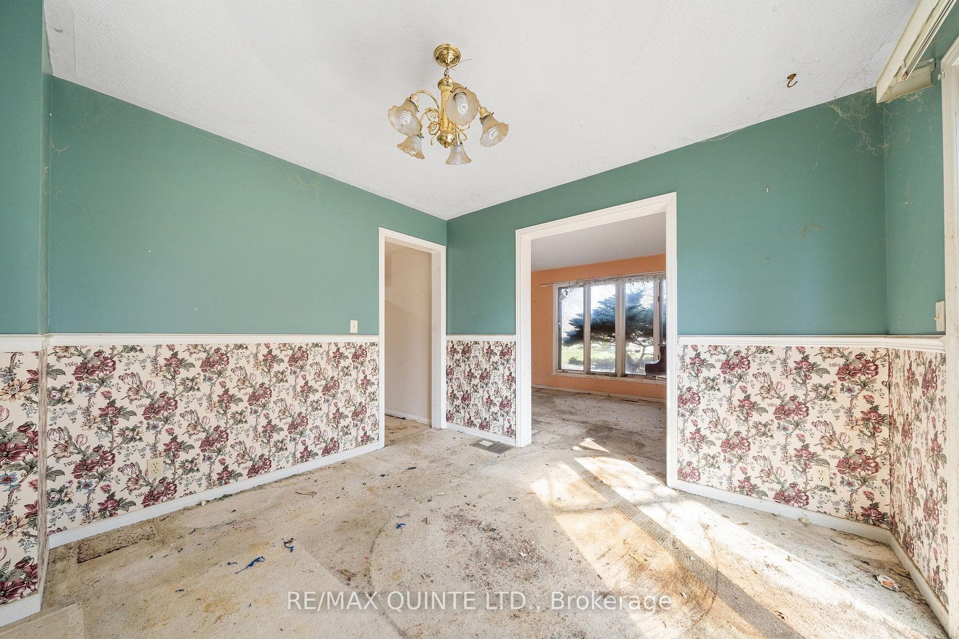 3 Cooke Court photo 10