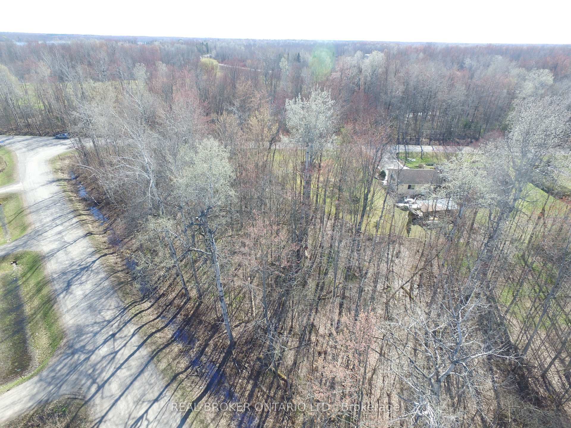 LT 12 Wildlife Way photo 3