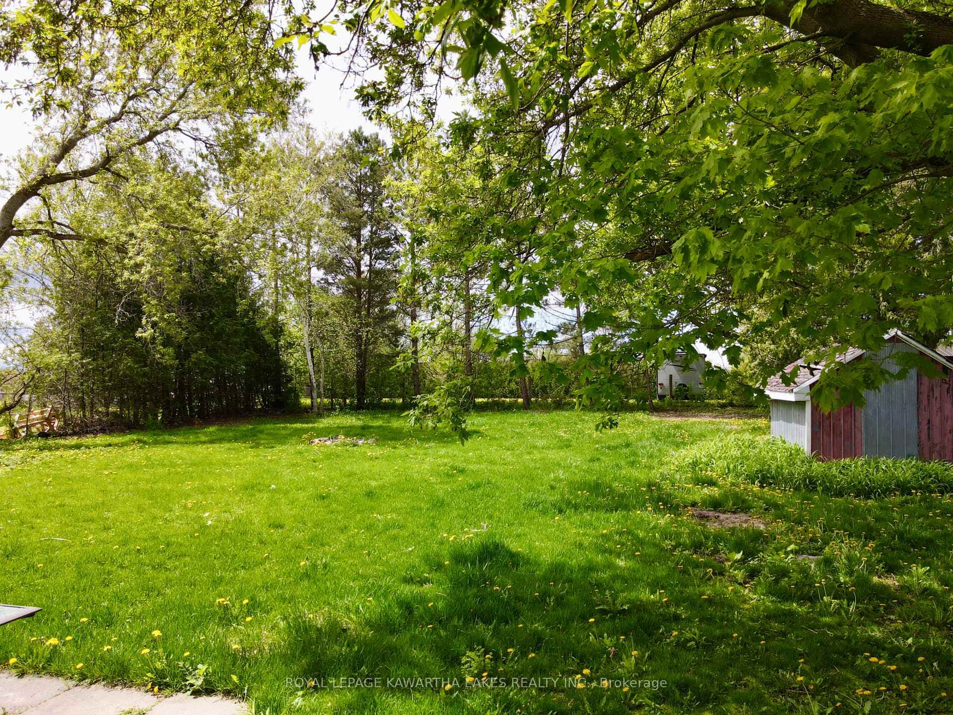 1615 County 46 Road photo 40