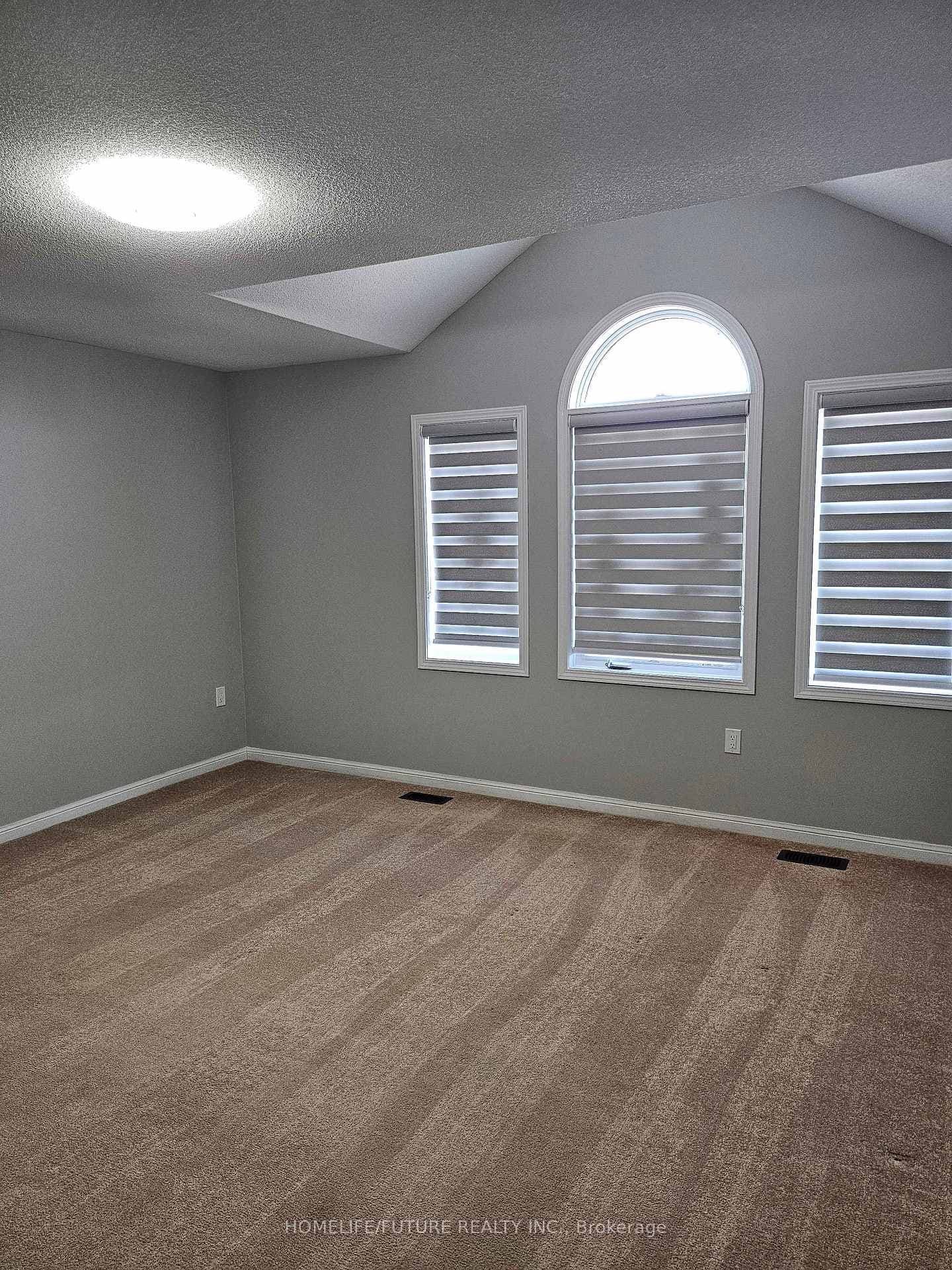 259 Kenneth Cole Drive photo 20