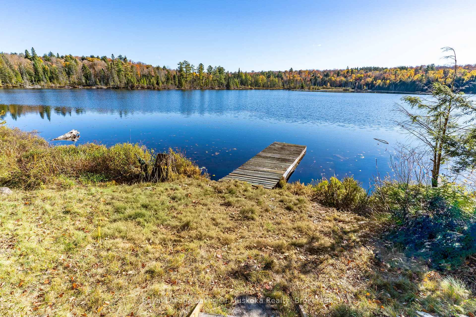 1119 GRIST MILL Lane photo 8