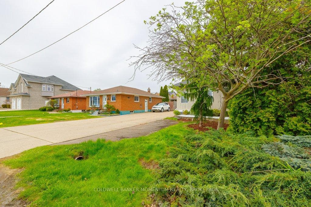 64 Martin Street photo 4