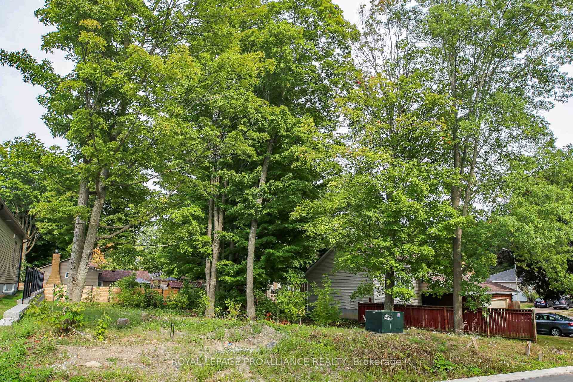 4 Adley Drive photo 4