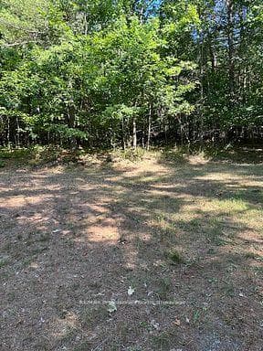 2875 County Road 21 Road photo 8