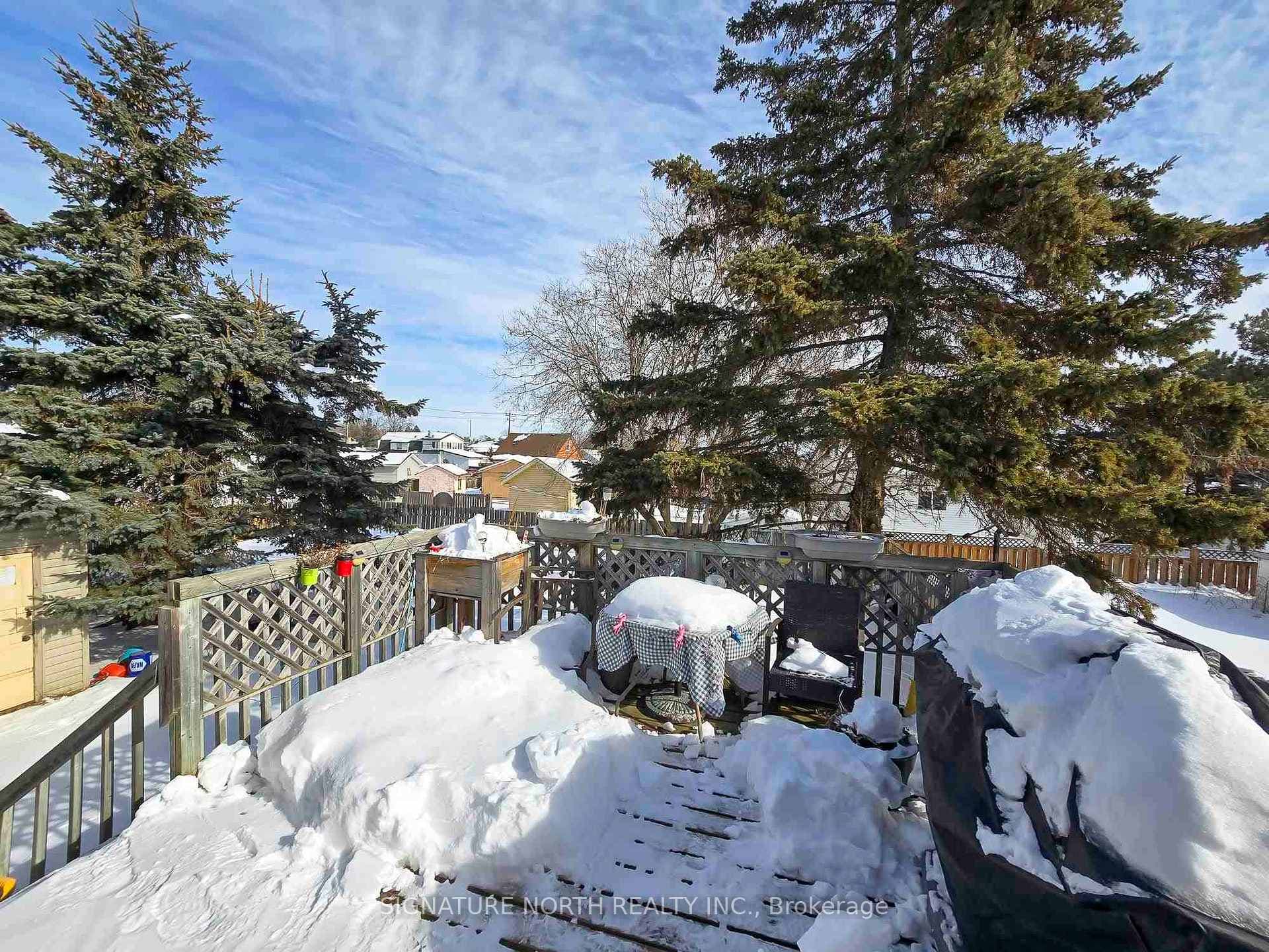 11 Dalton Avenue photo 46
