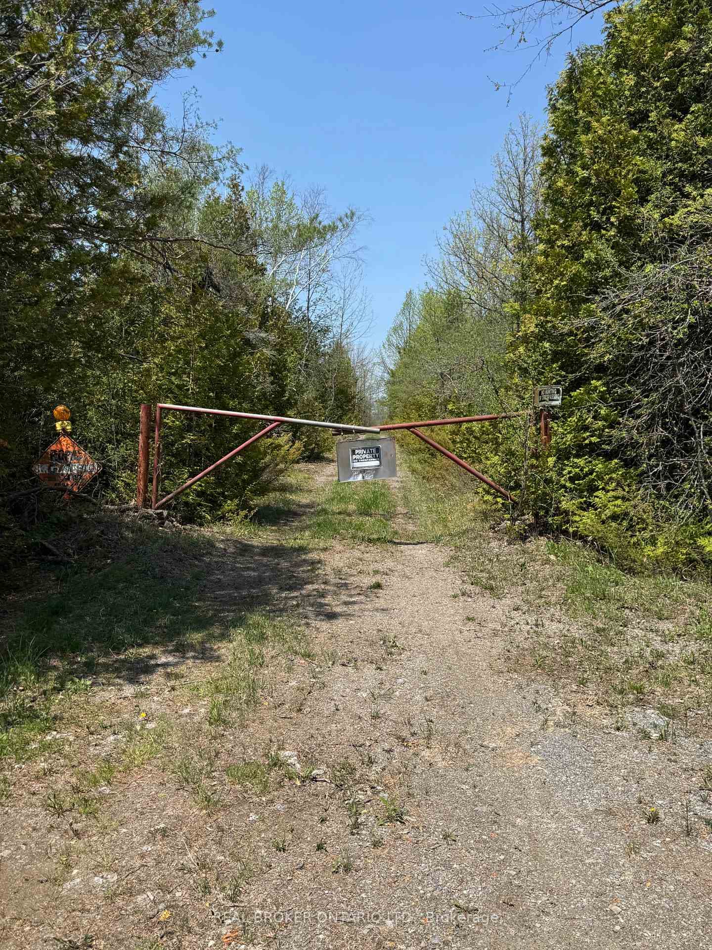 00 WILLIAM CAMPBELL Road photo 12