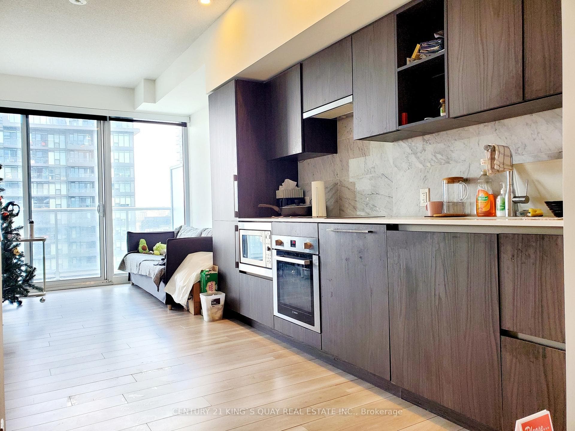 17 Bathurst Street Unit 3007 photo 5