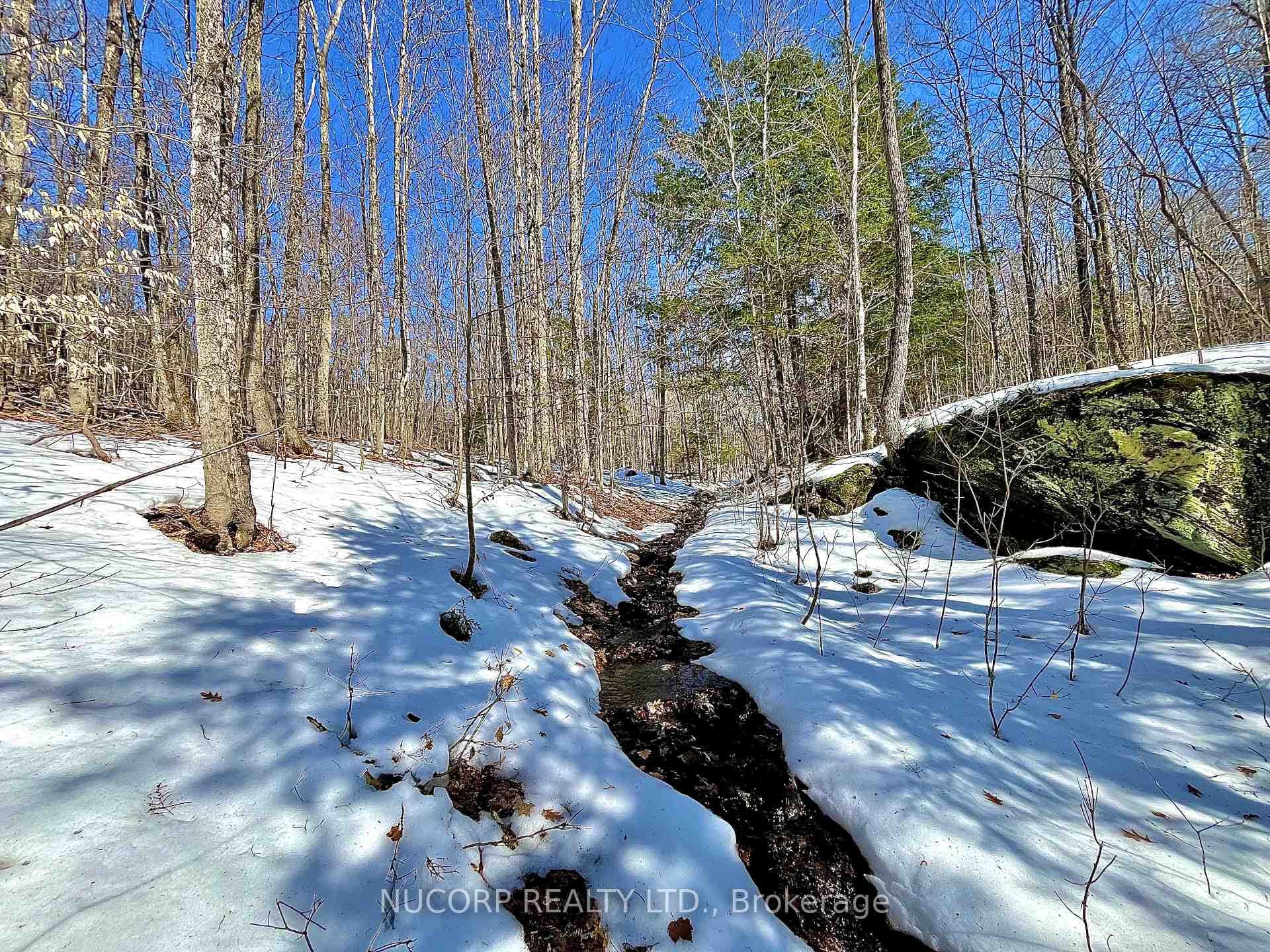 Lt27/28 Muskoka Road 118 N/A photo 6