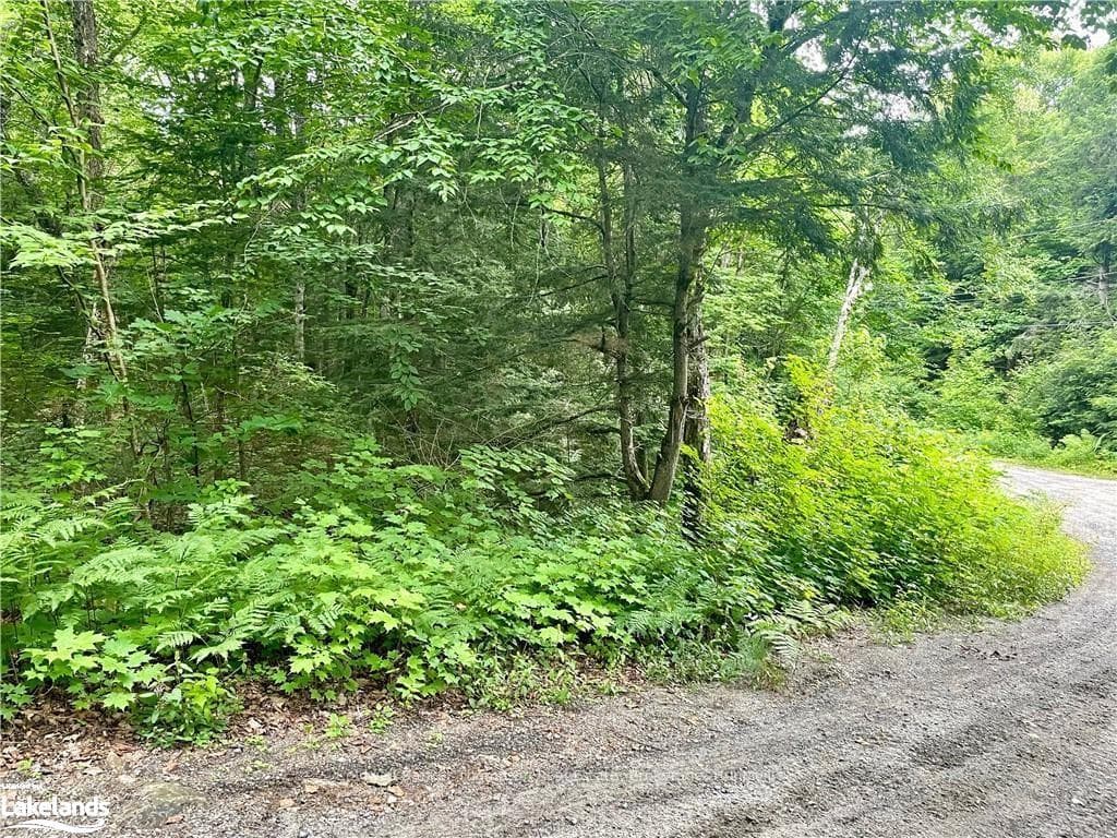 0 CEDAR Lane photo 4