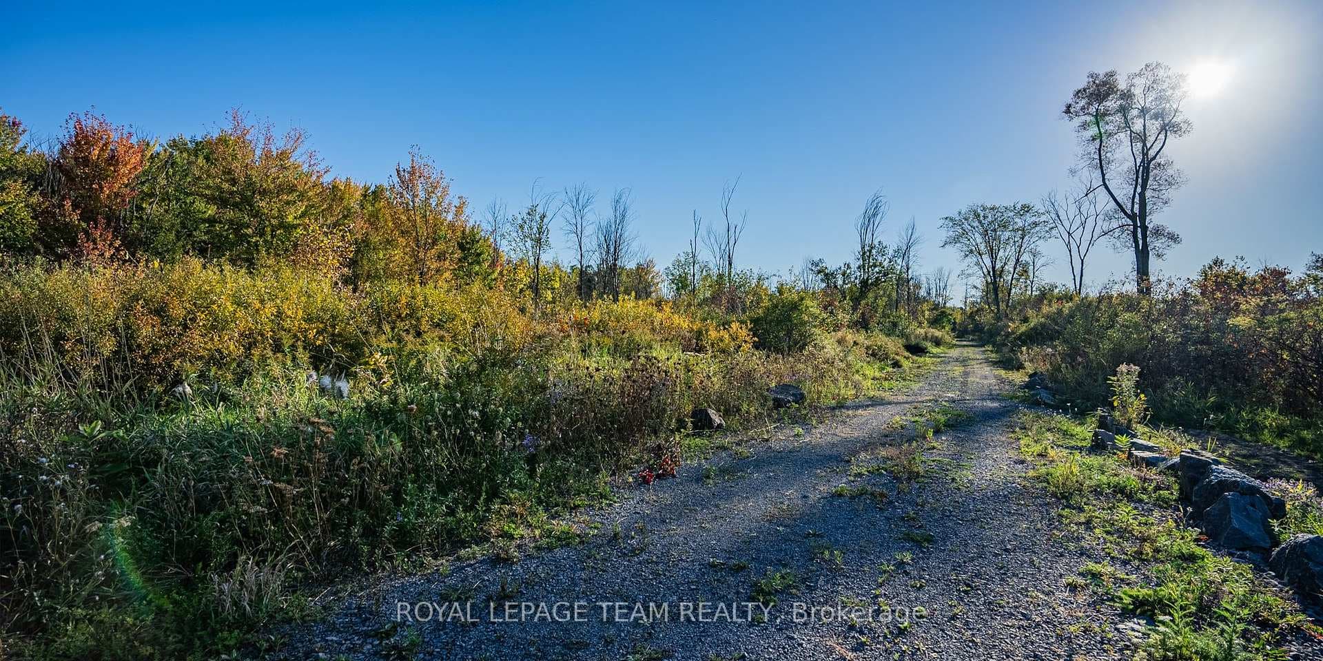 2591 Sixth Line Road photo 18