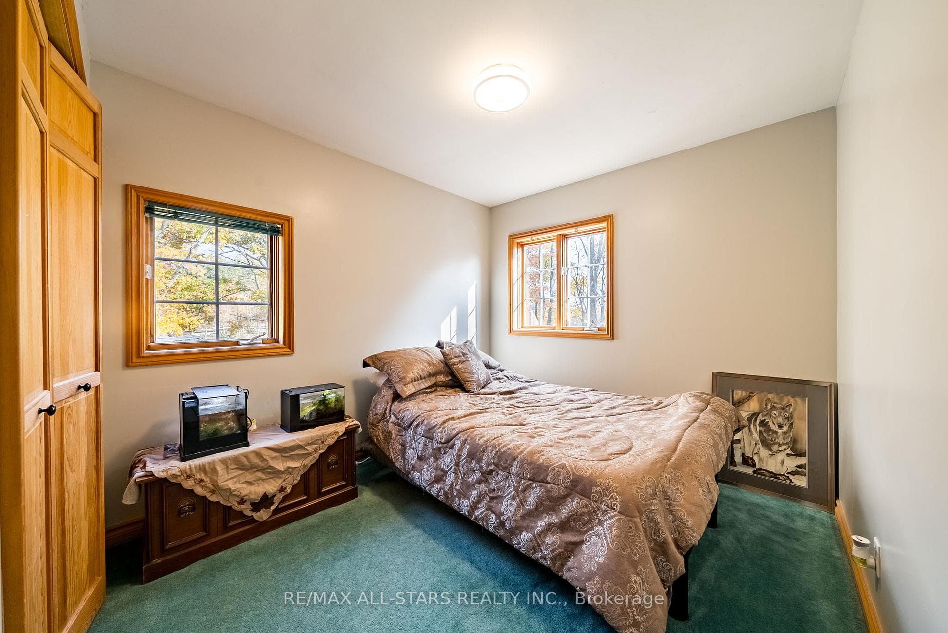 100 Snow Ridge Court photo 21