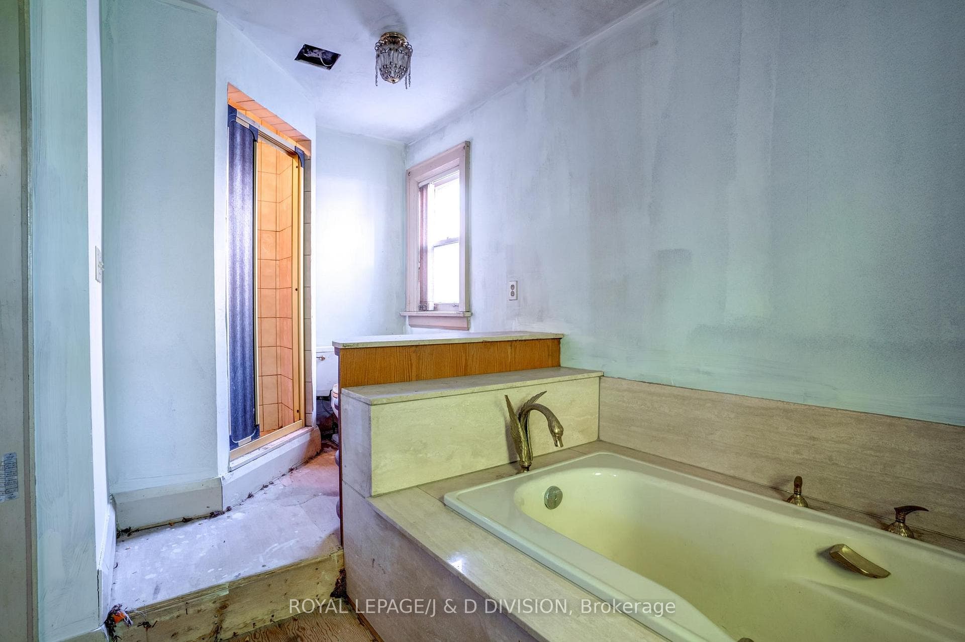 27 Cortland Avenue photo 30