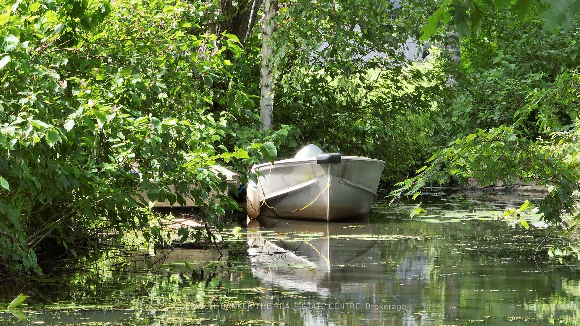 Tin Boat, Kayak or Paddle Board from Canal to Lake