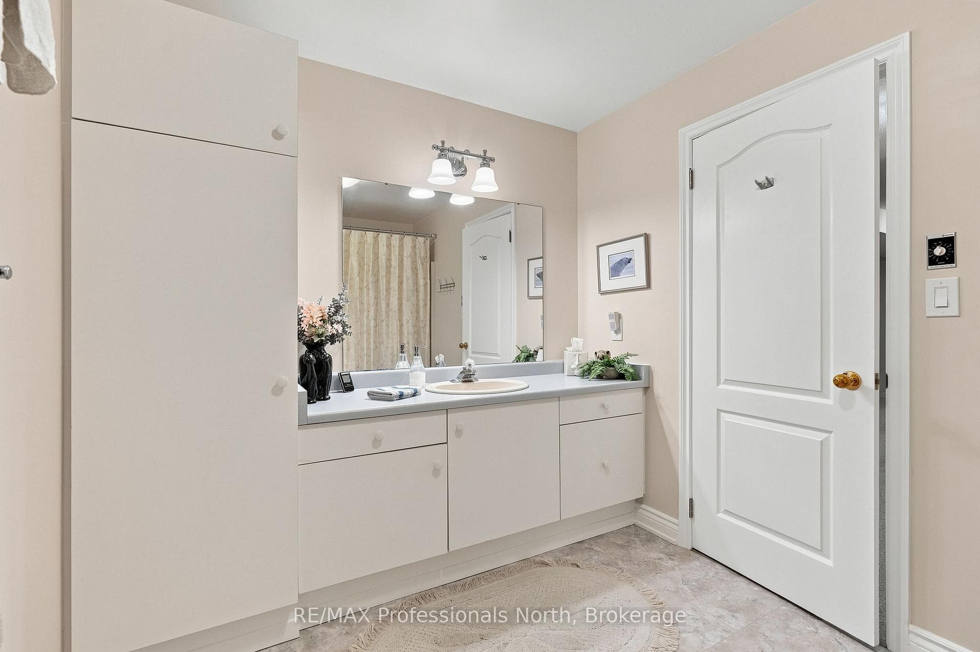 8 PALMER Court photo 48