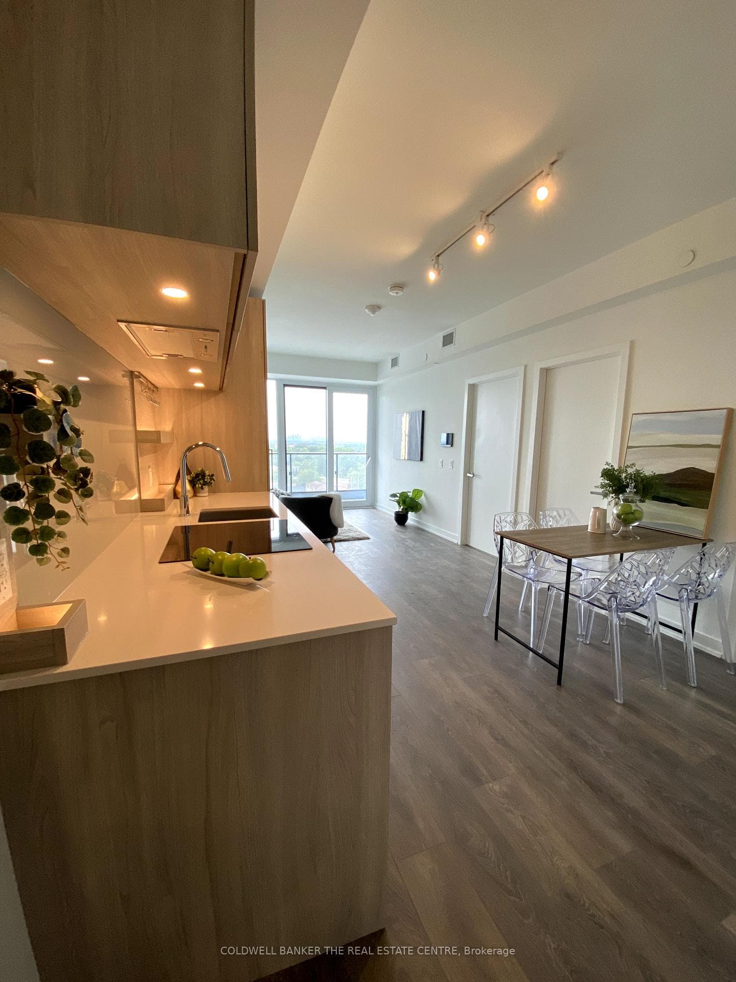 28 Ann Street Unit 1118 photo 6
