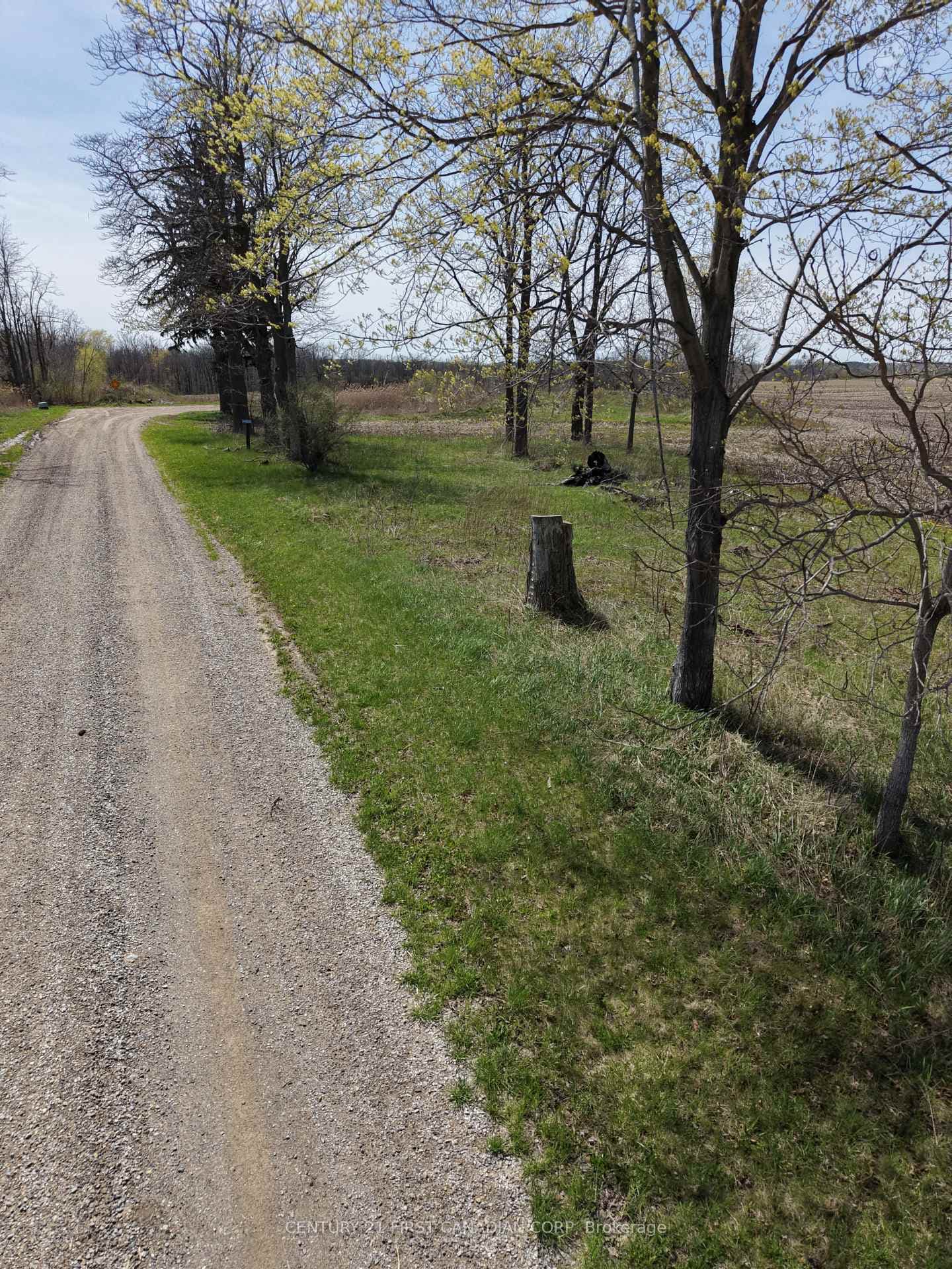 24688 Carroll Line photo 24