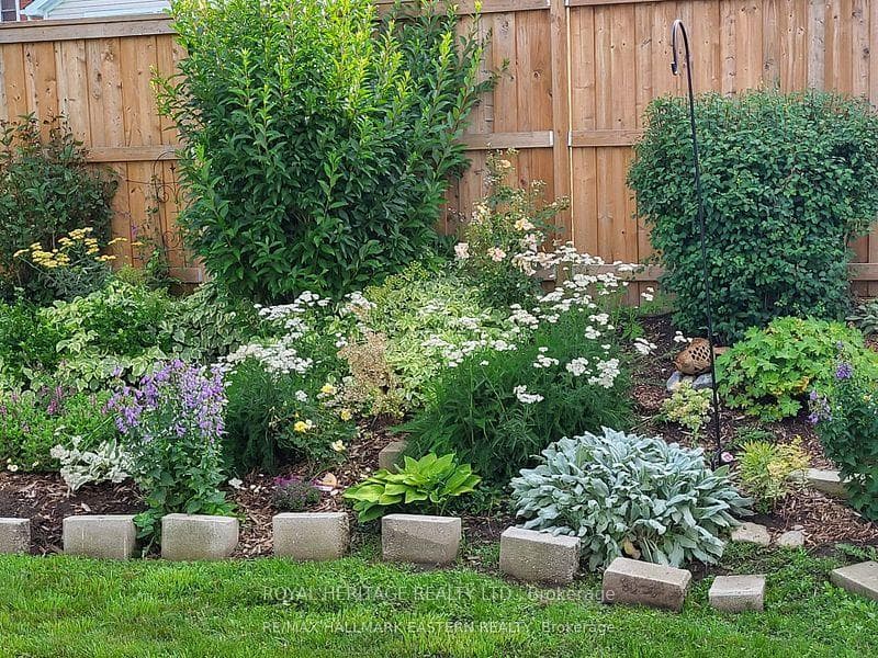 Summer perennial gardens