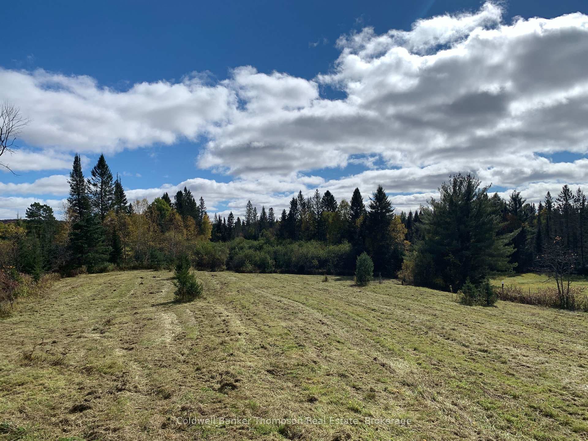 Large Clearing