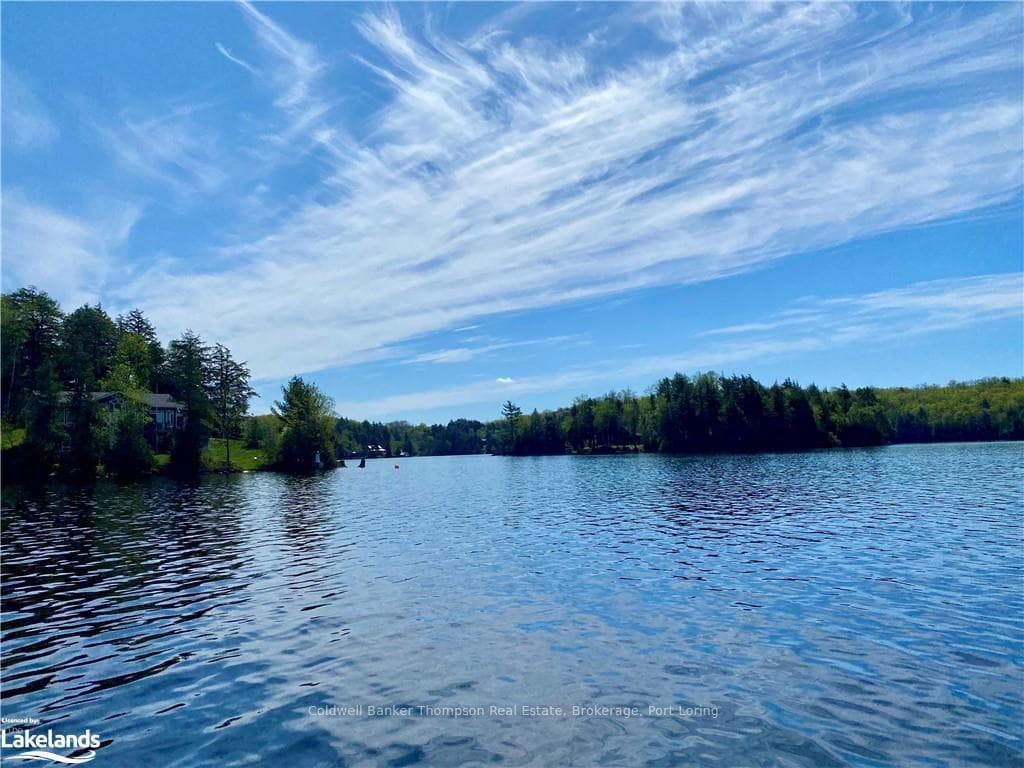 06-A TOAD LAKE N/A photo 11