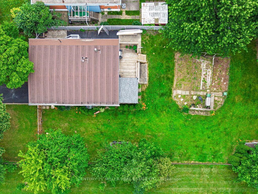 154 Luscombe Street photo 34