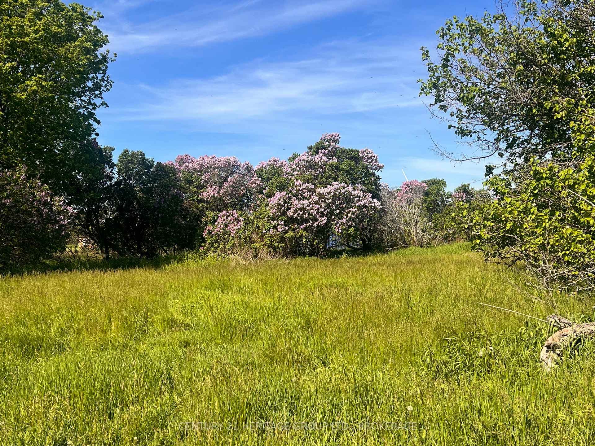 LOT 17 SOUTH SHORE Road photo 3