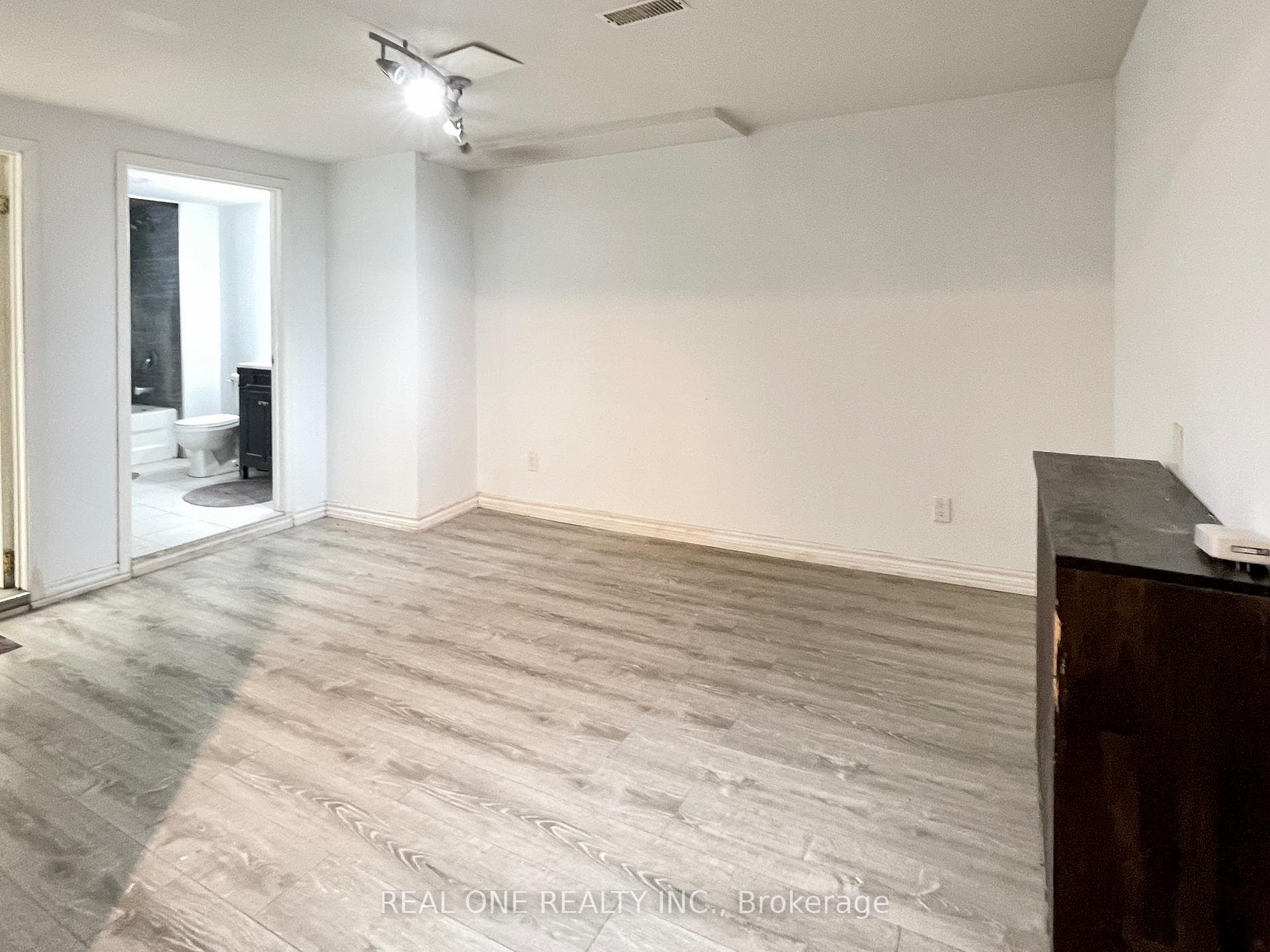 Basement Living Room