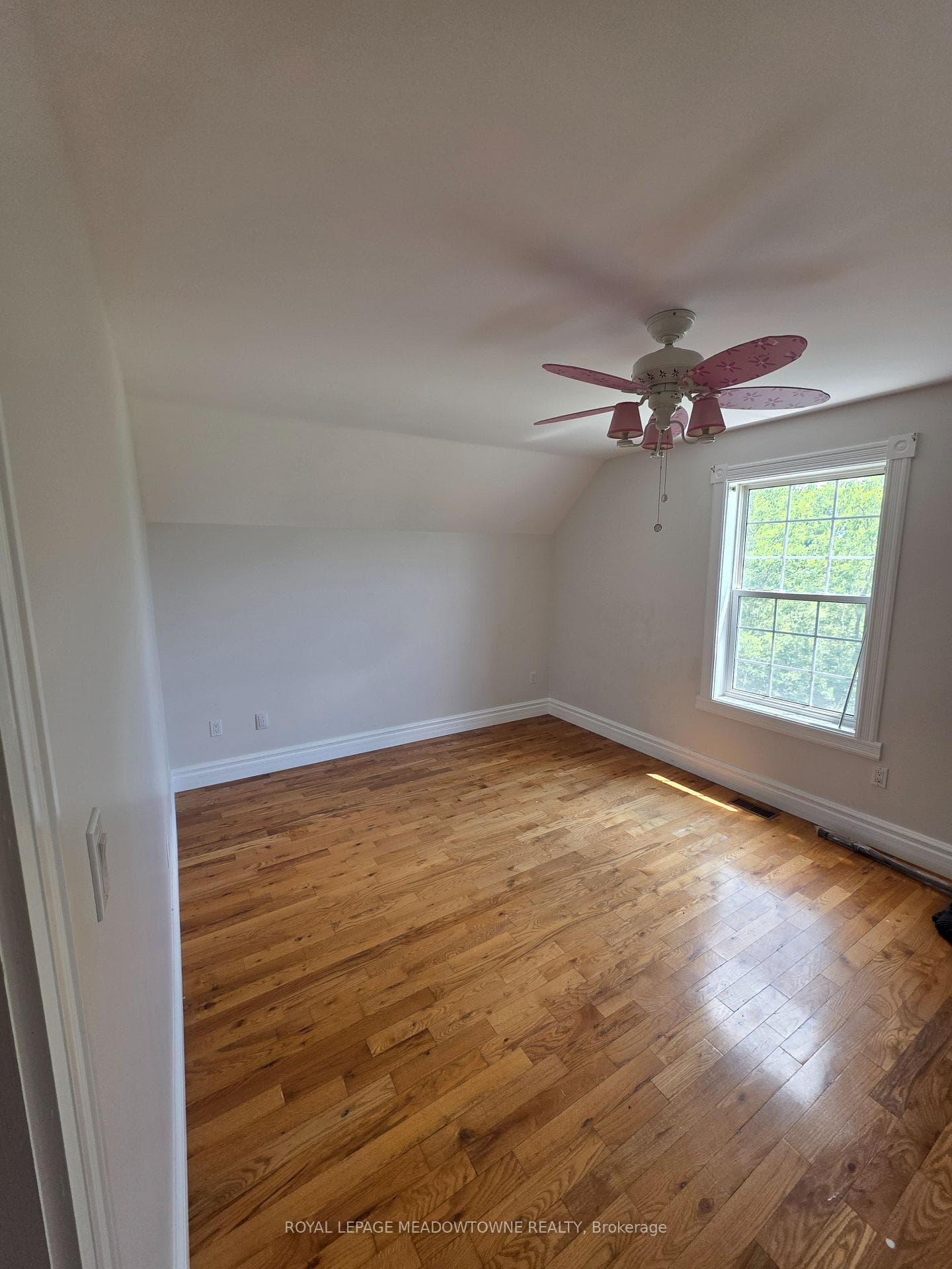 13727 Creditview Road photo 14