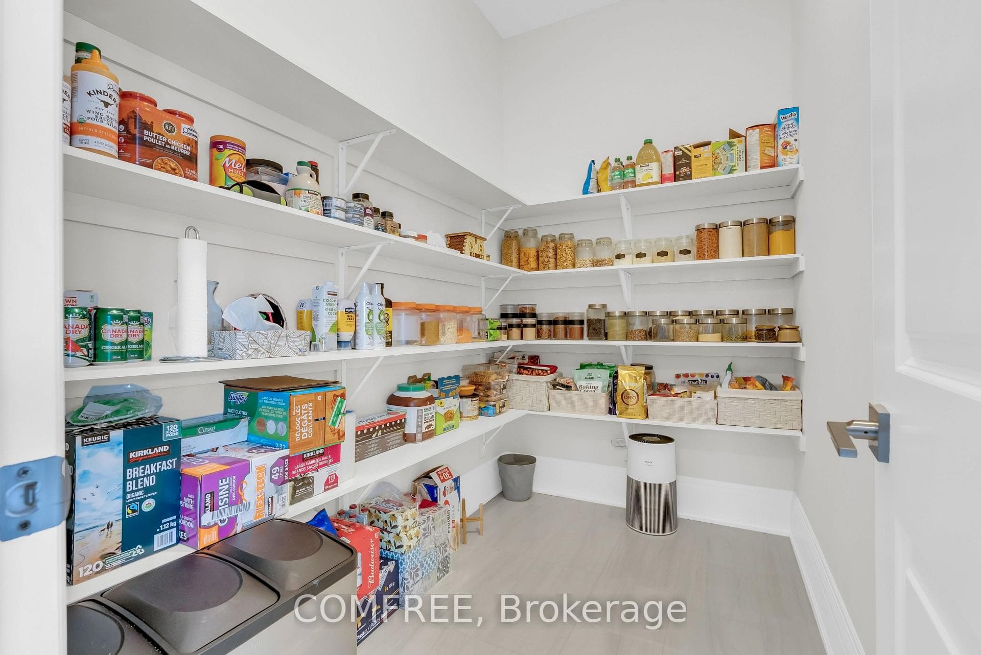 35 Ogilvie Street photo 19