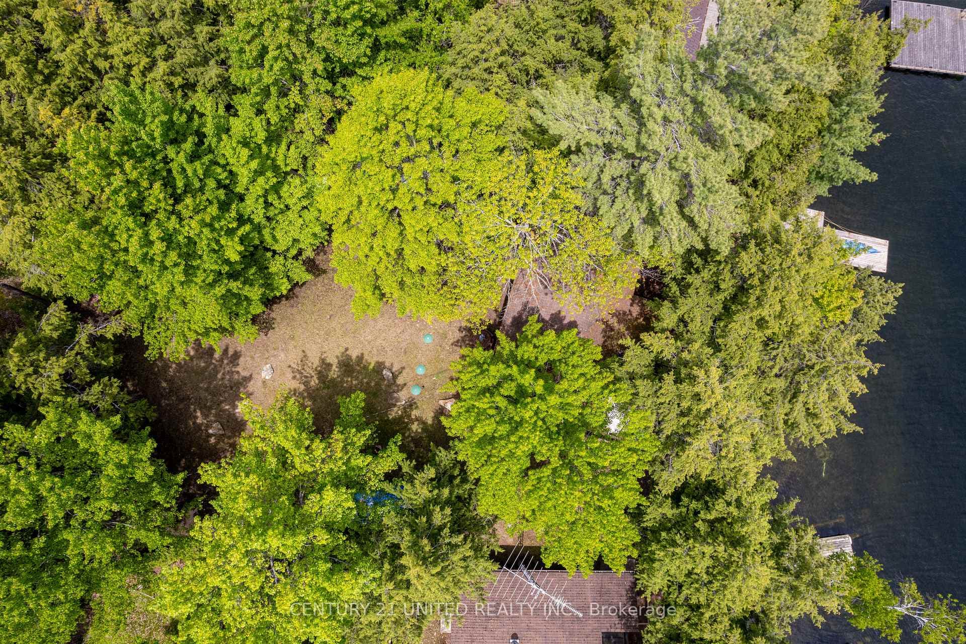 69 Dove Lane photo 16